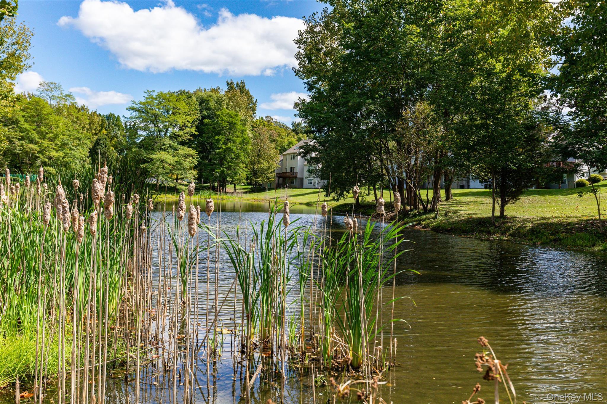 Single Family Turnberry Court Dutchess County, NY 12603, MLS-1060212-36