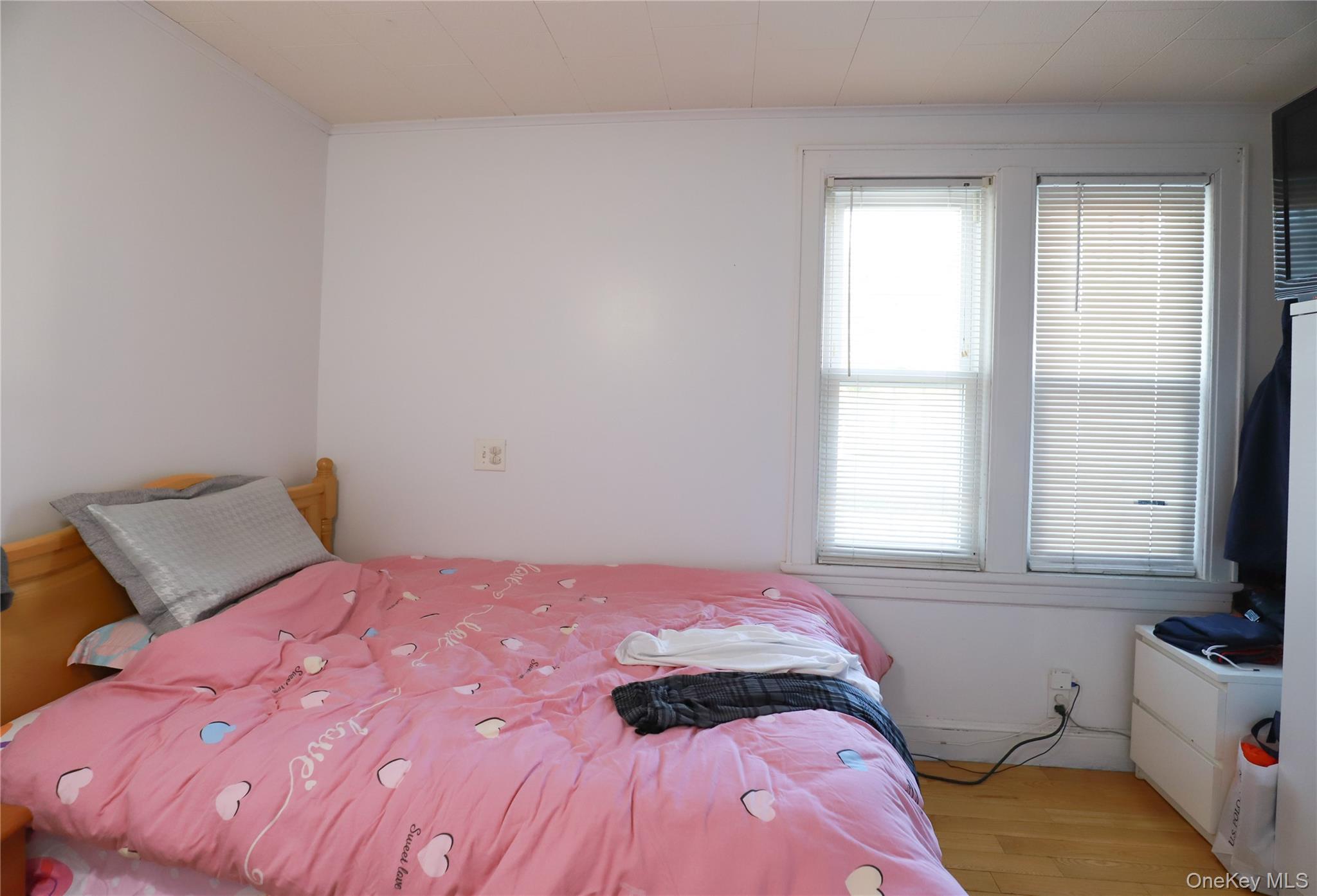 Single Family Kalmia Avenue Queens, NY 11355, MLS-1060271-12