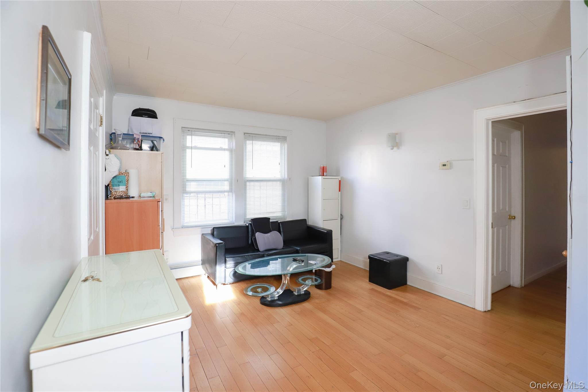 Single Family Kalmia Avenue Queens, NY 11355, MLS-1060271-13