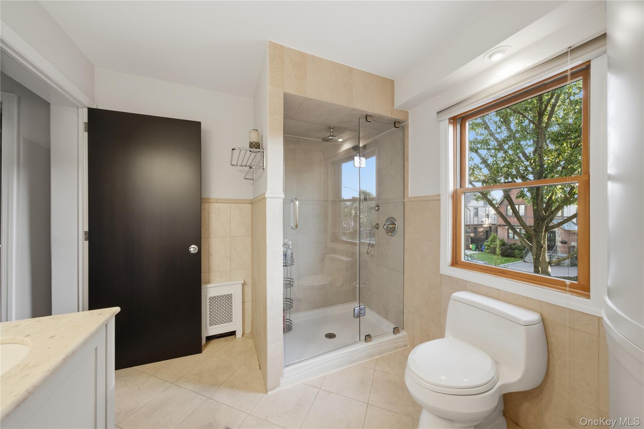 Single Family 69th Lane Queens, NY 11378, MLS-1060411-26