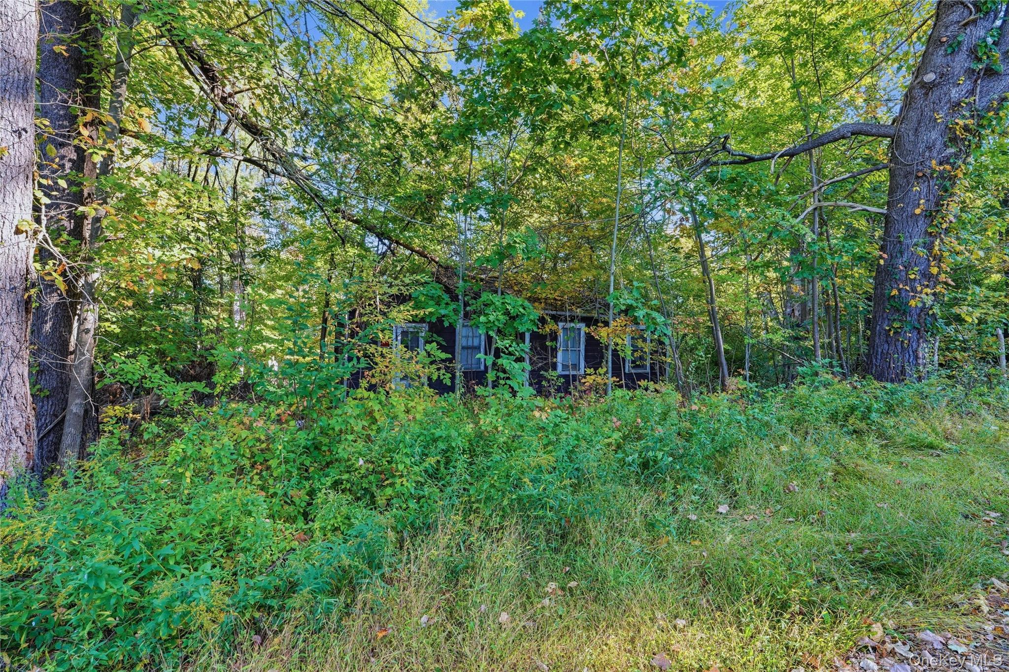 Single Family Turkey Hill Road  Ulster County, NY 12446, MLS-1060671-11