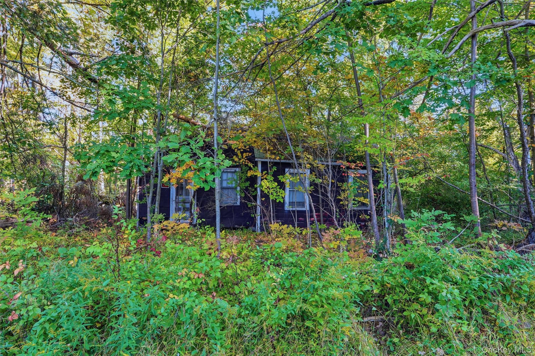Single Family Turkey Hill Road  Ulster County, NY 12446, MLS-1060671-12
