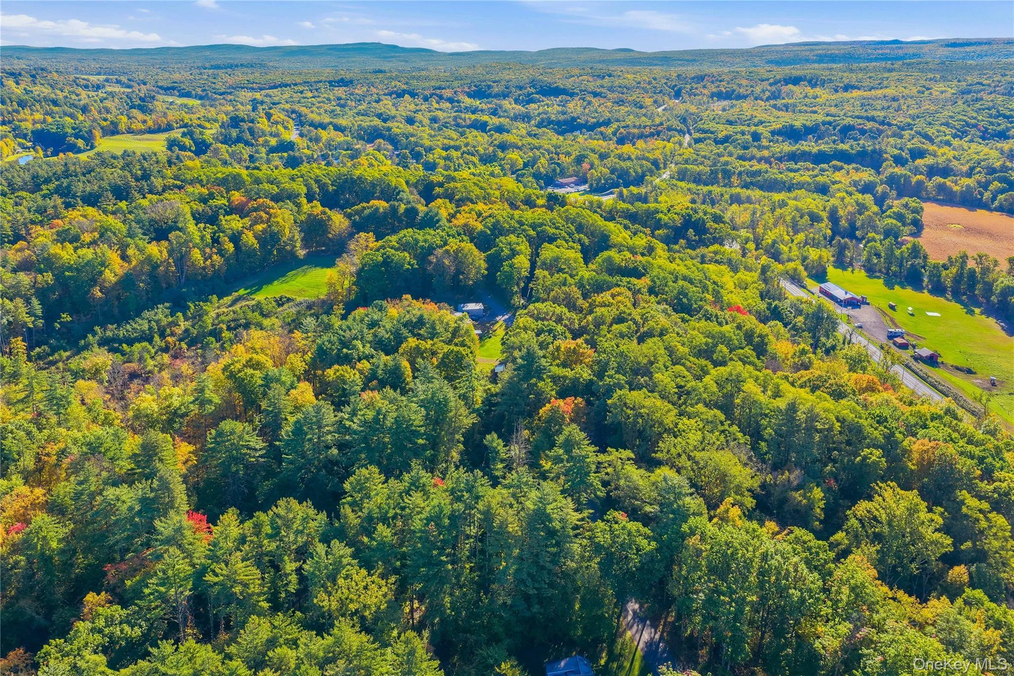 Single Family Turkey Hill Road  Ulster County, NY 12446, MLS-1060671-14