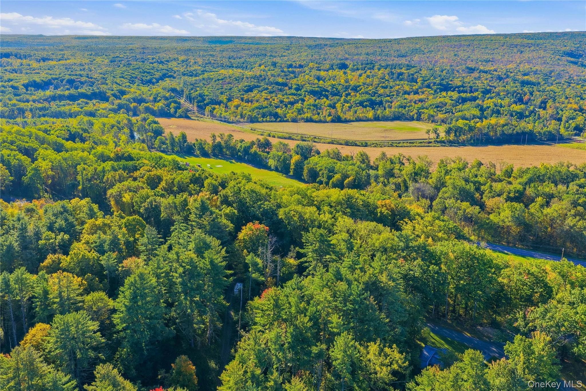 Single Family Turkey Hill Road  Ulster County, NY 12446, MLS-1060671-15