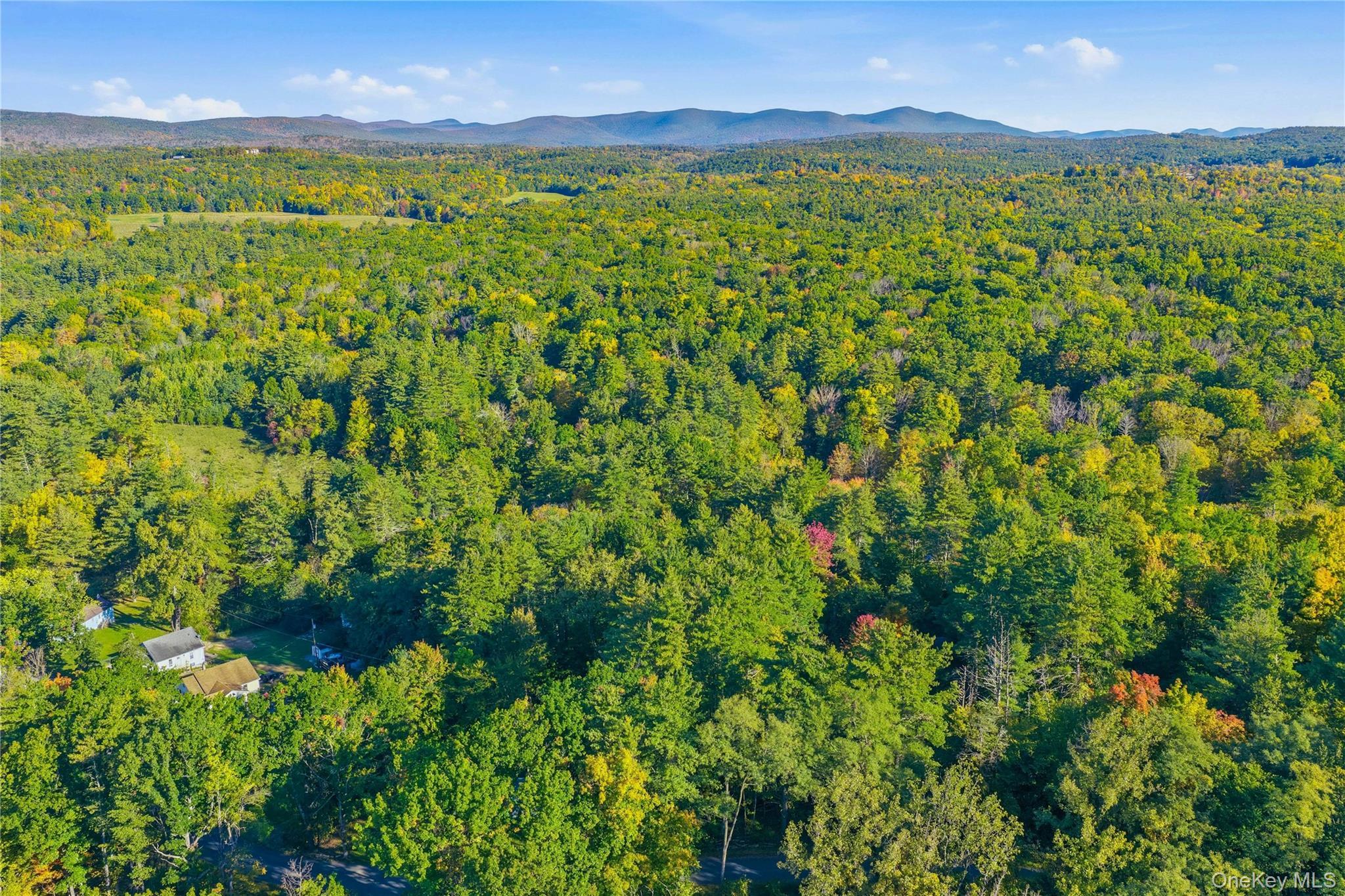 Single Family Turkey Hill Road  Ulster County, NY 12446, MLS-1060671-16