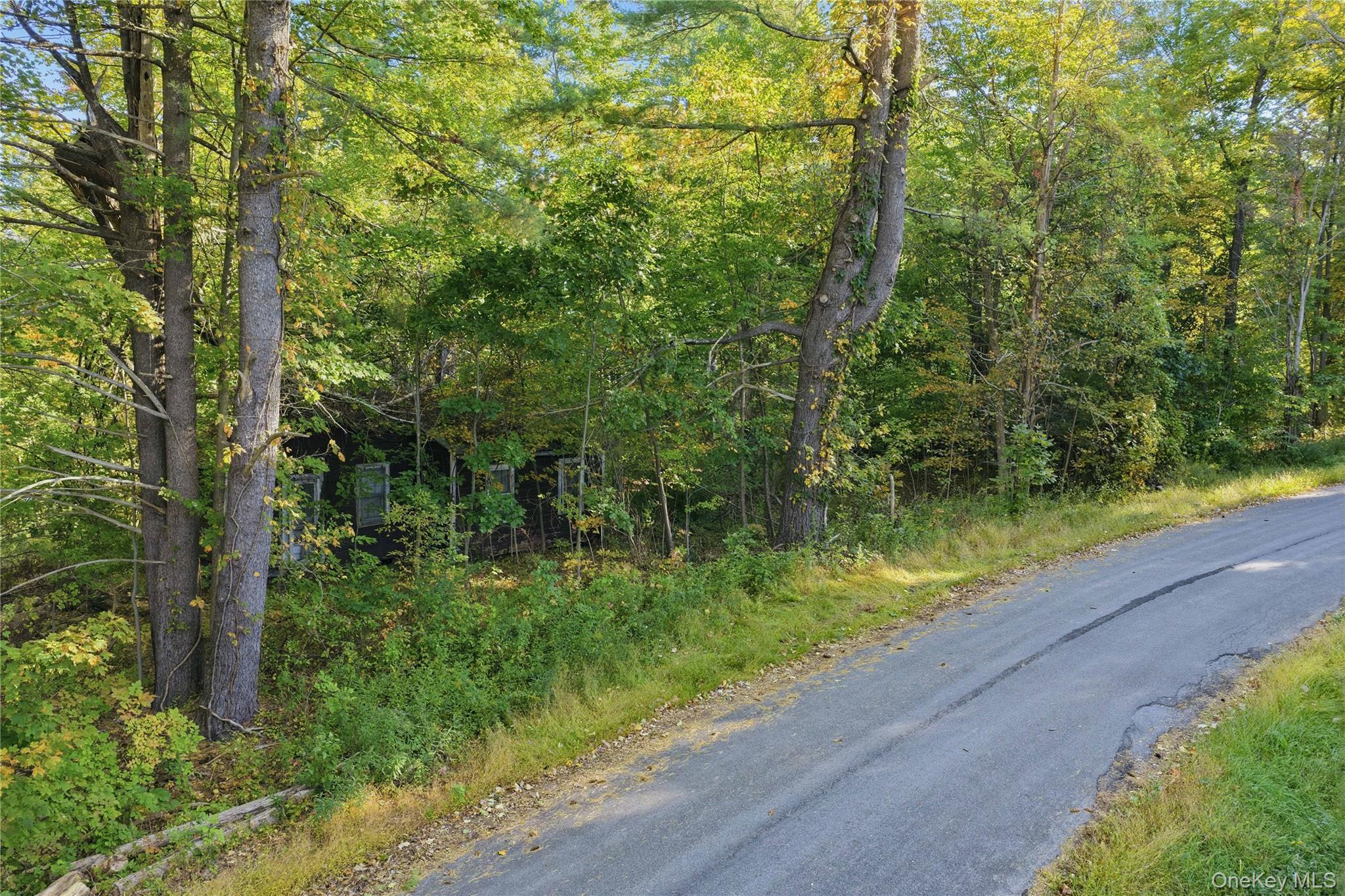 Single Family Turkey Hill Road  Ulster County, NY 12446, MLS-1060671-17