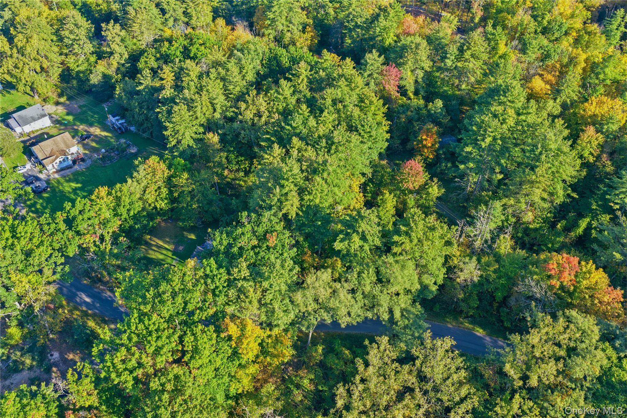 Single Family Turkey Hill Road  Ulster County, NY 12446, MLS-1060671-2
