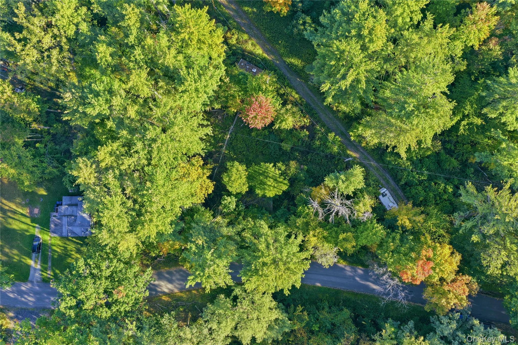 Single Family Turkey Hill Road  Ulster County, NY 12446, MLS-1060671-3