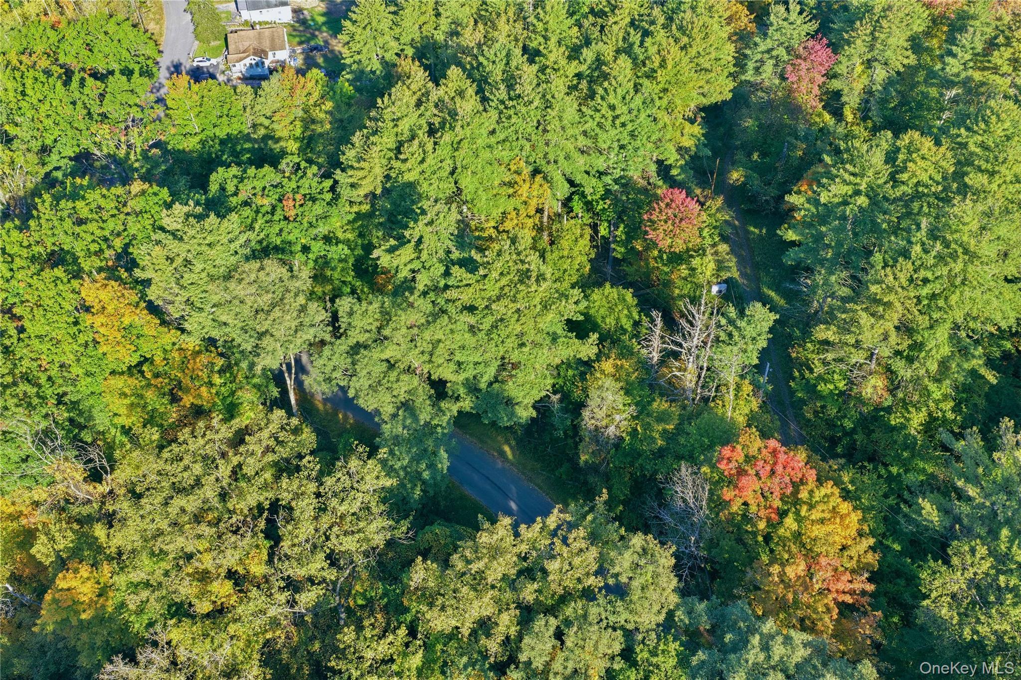 Single Family Turkey Hill Road  Ulster County, NY 12446, MLS-1060671-6