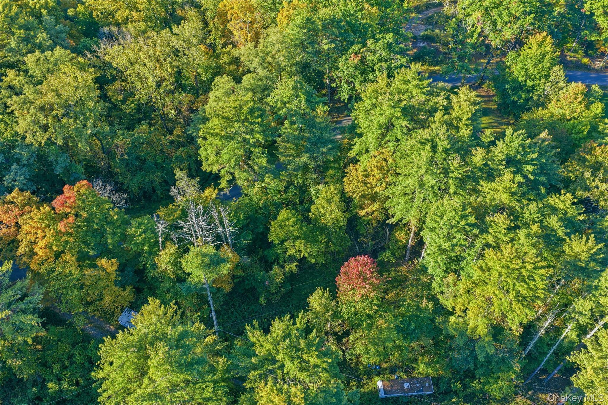 Single Family Turkey Hill Road  Ulster County, NY 12446, MLS-1060671-8