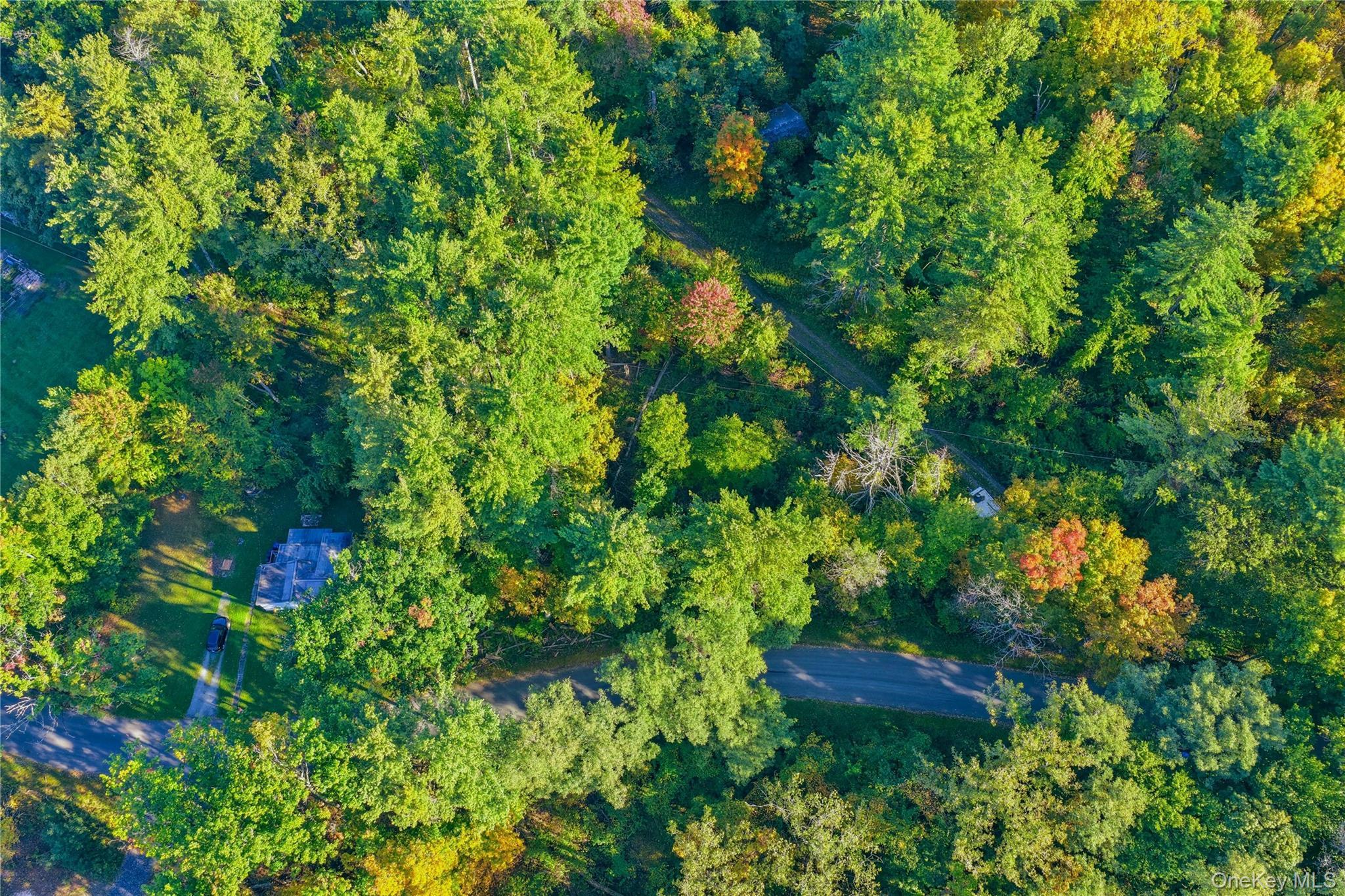 Single Family Turkey Hill Road  Ulster County, NY 12446, MLS-1060671-9