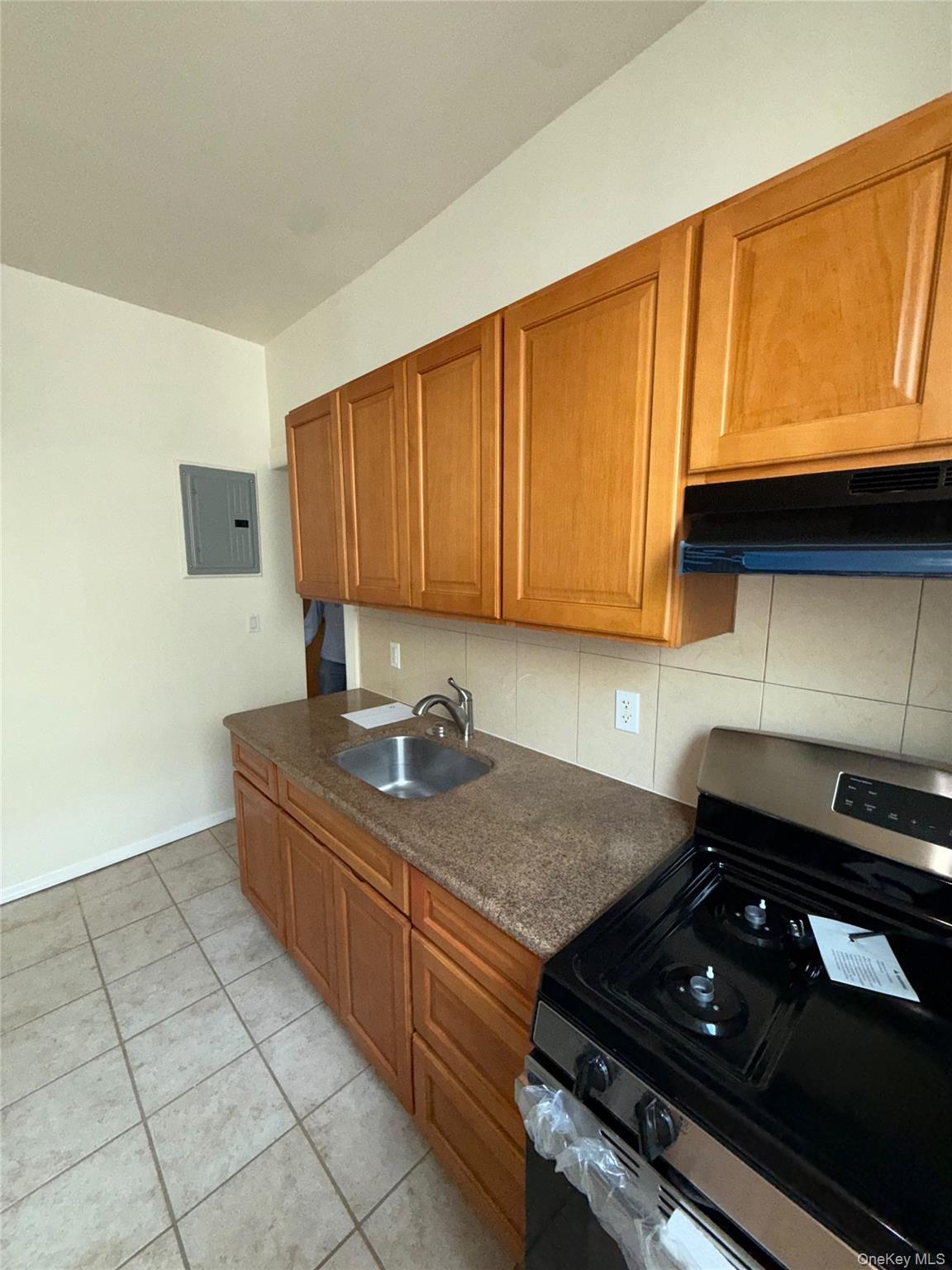 Apartment Saratoga Avenue Brooklyn, NY 11212, MLS-1060776-4