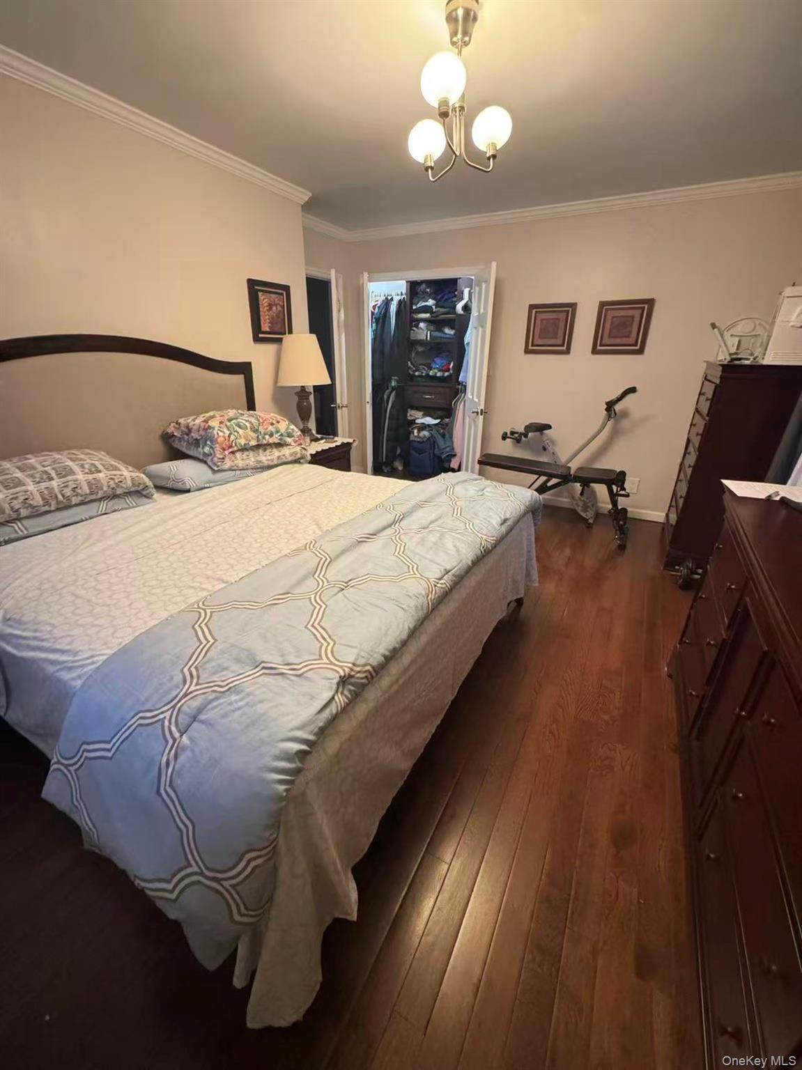 Single Family 168th Street  Queens, NY 11366, MLS-1061301-7