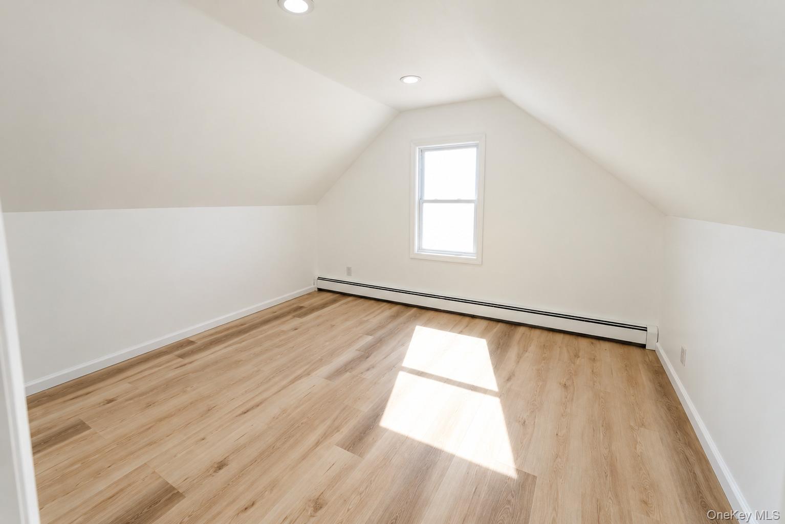 Single Family Birch Street Suffolk County, NY 11798, MLS-1061794-11