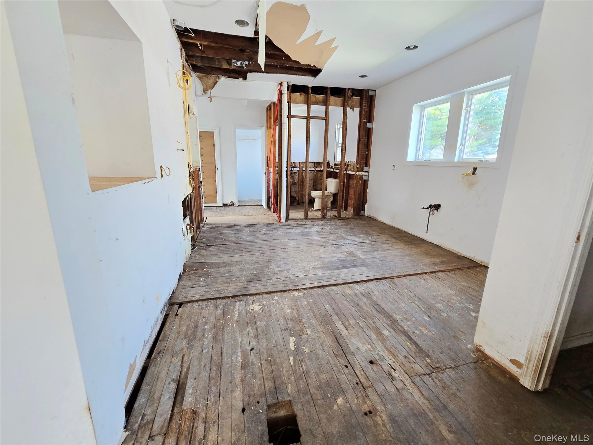 Single Family Locust Avenue Nassau County, NY 11520, MLS-1063273-26