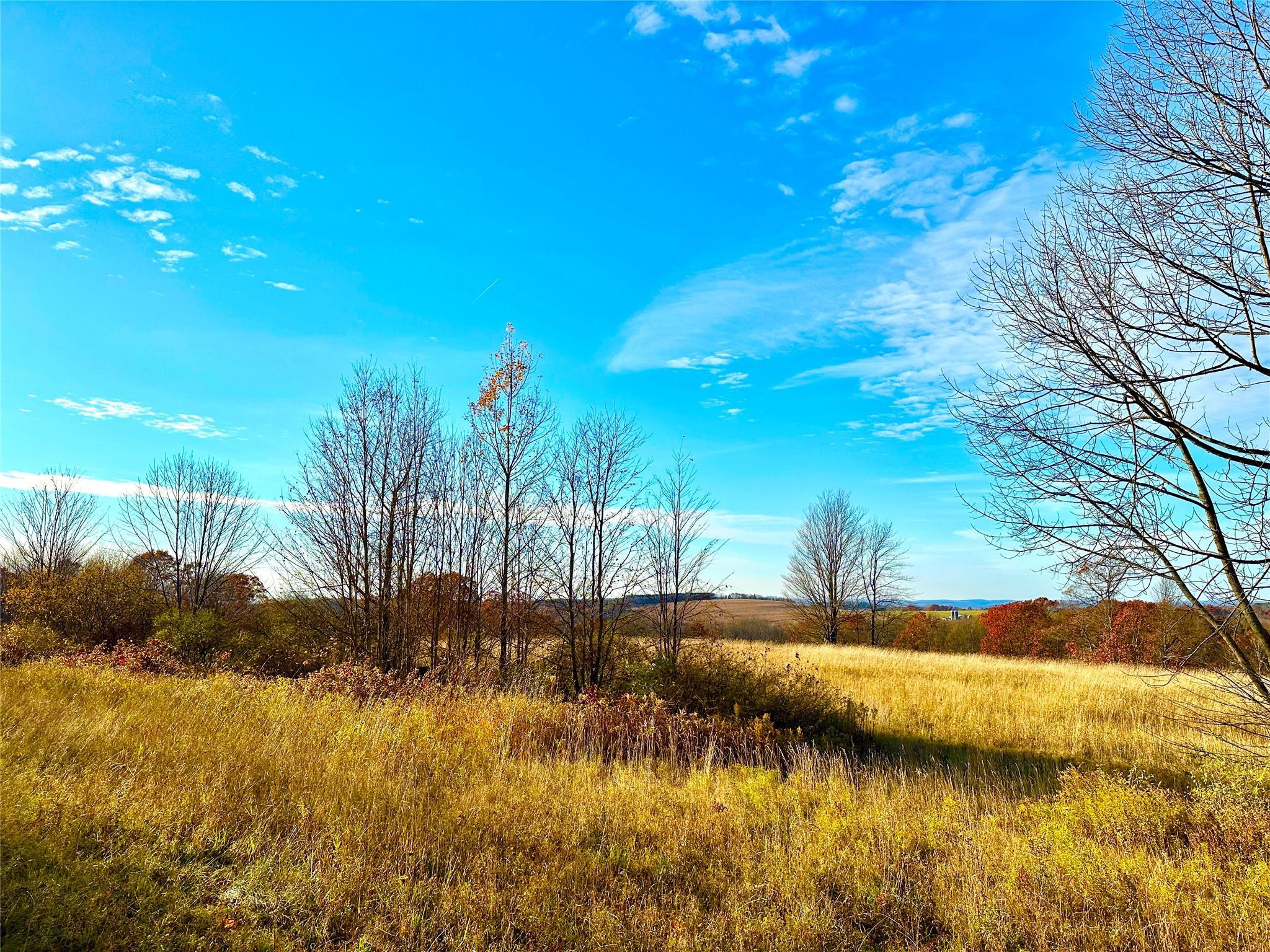 Single Family New Turnpike  Chenango County, NY 13460, MLS-800416-15