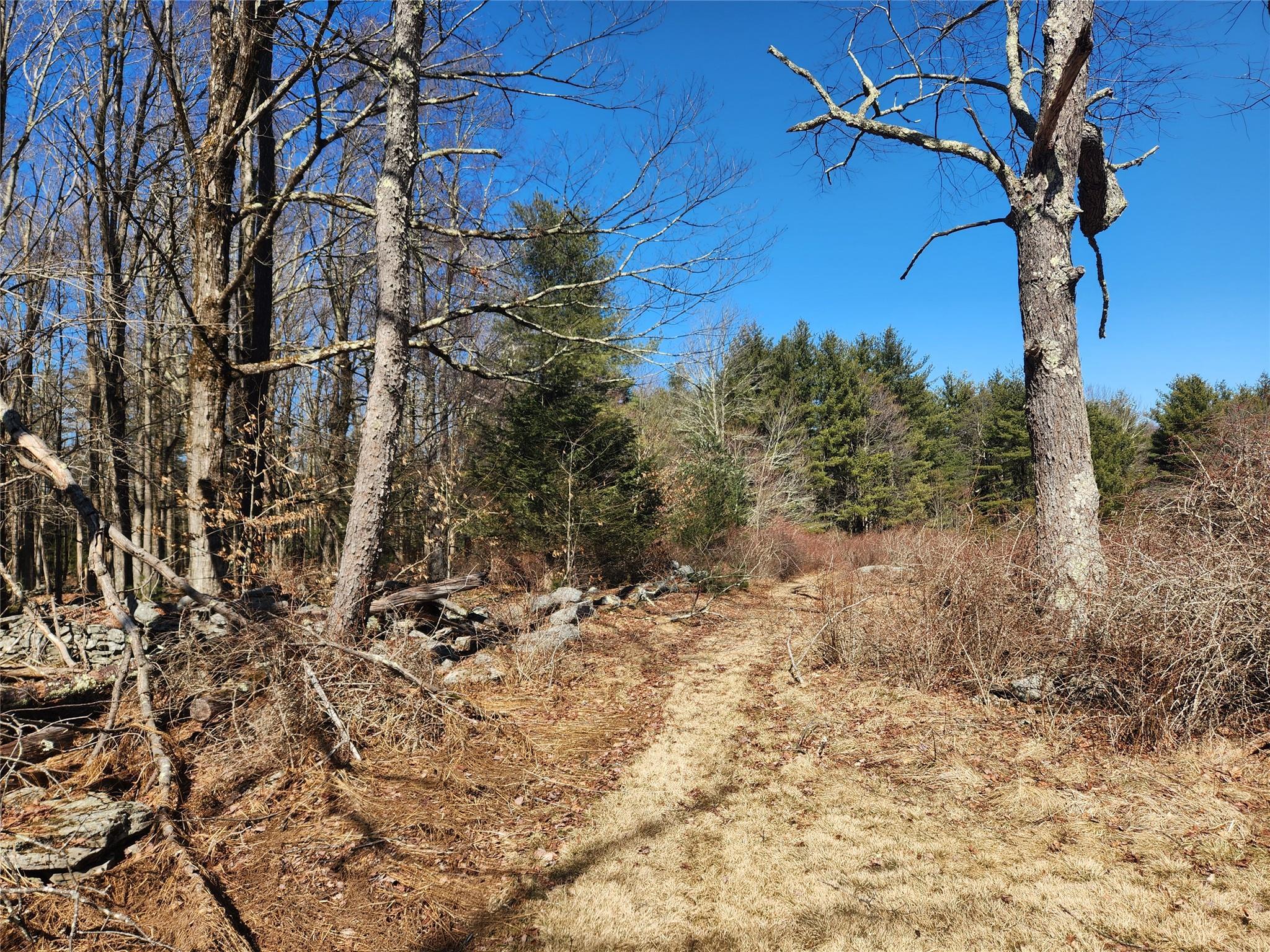 Single Family Dingle Daisy  Sullivan County, NY 12701, MLS-800759-11