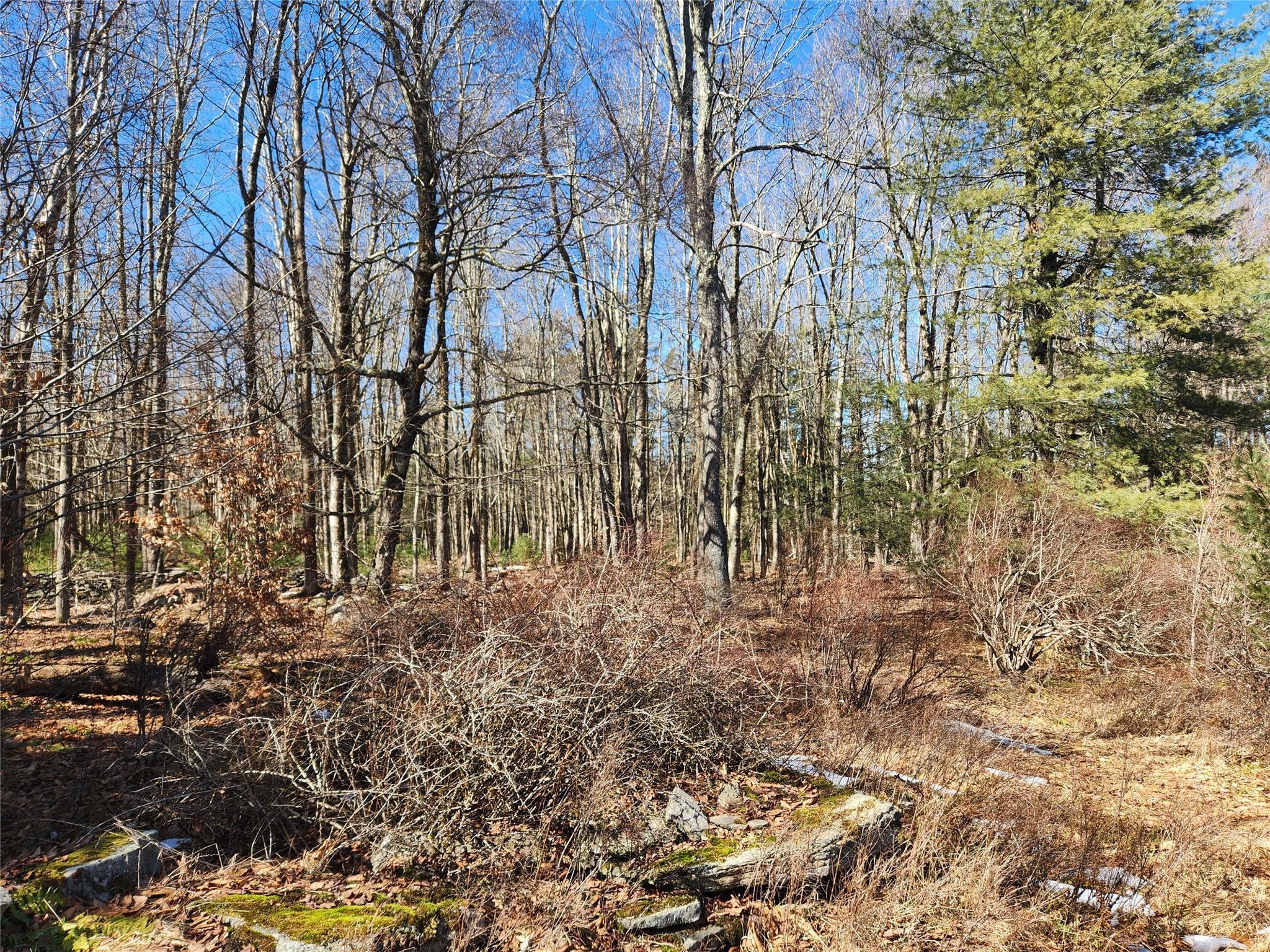 Single Family Dingle Daisy  Sullivan County, NY 12701, MLS-800759-12