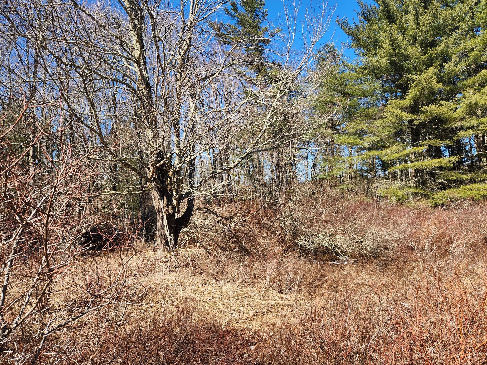 Single Family Dingle Daisy  Sullivan County, NY 12701, MLS-800759-14