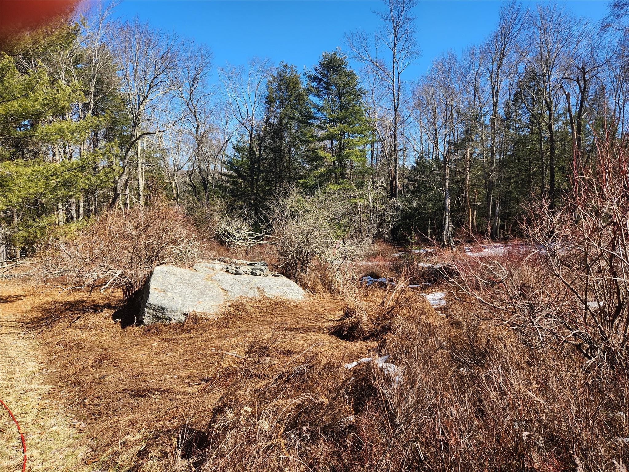 Single Family Dingle Daisy  Sullivan County, NY 12701, MLS-800759-15