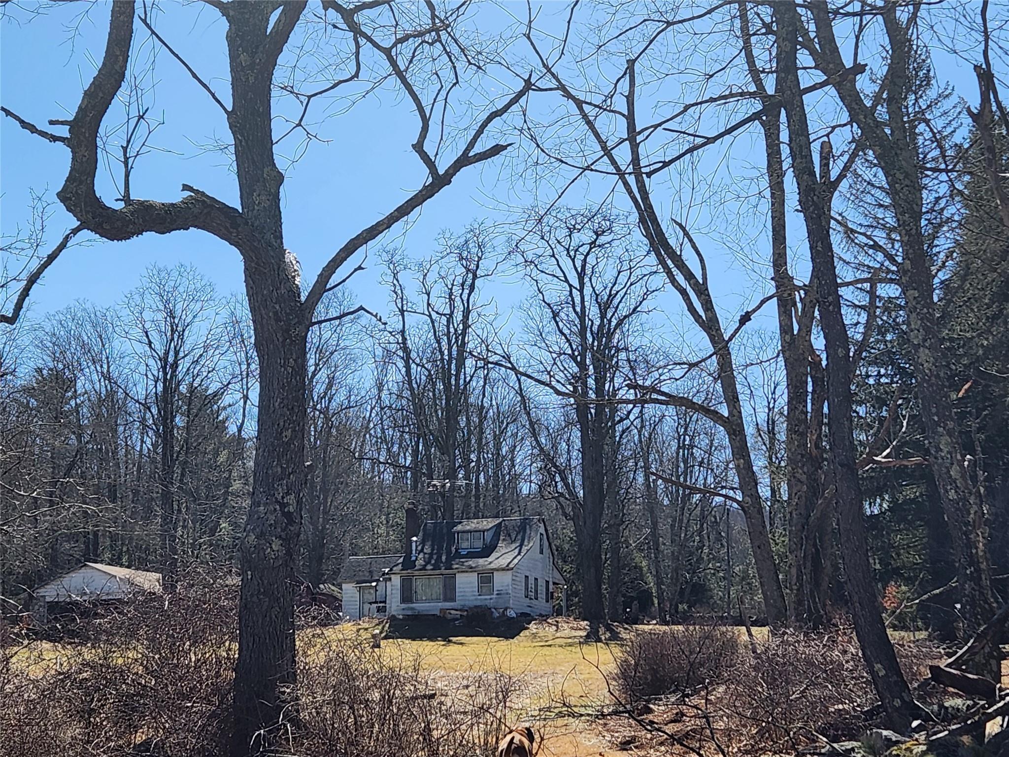 Single Family Dingle Daisy  Sullivan County, NY 12701, MLS-800759-16