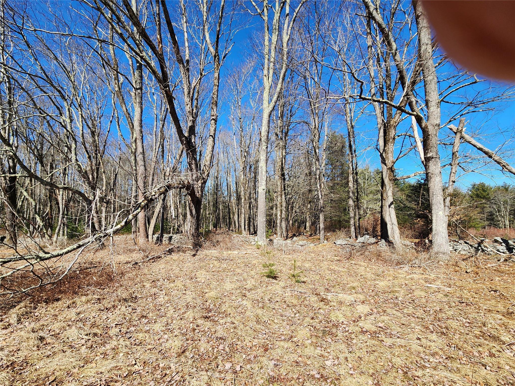Single Family Dingle Daisy  Sullivan County, NY 12701, MLS-800759-18