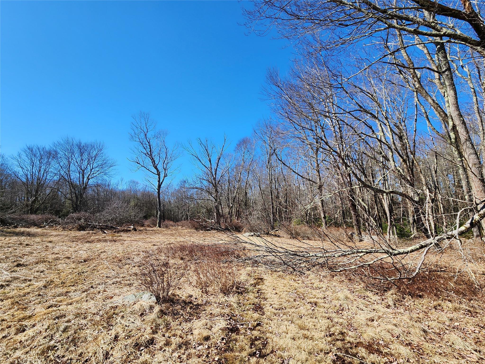Single Family Dingle Daisy  Sullivan County, NY 12701, MLS-800759-19