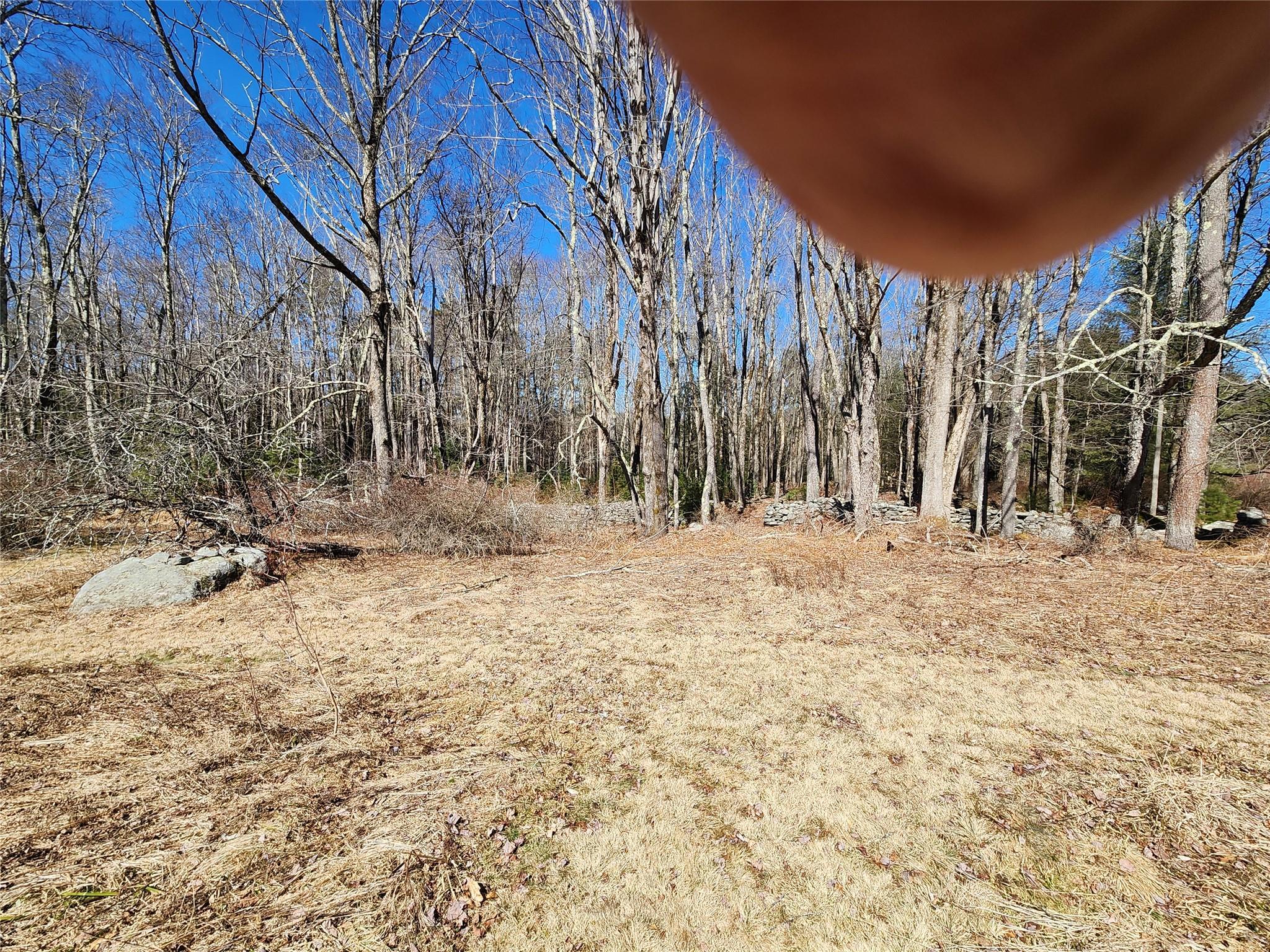 Single Family Dingle Daisy  Sullivan County, NY 12701, MLS-800759-20