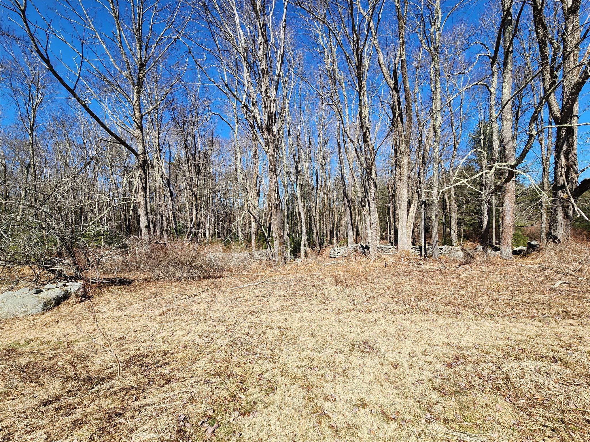 Single Family Dingle Daisy  Sullivan County, NY 12701, MLS-800759-21
