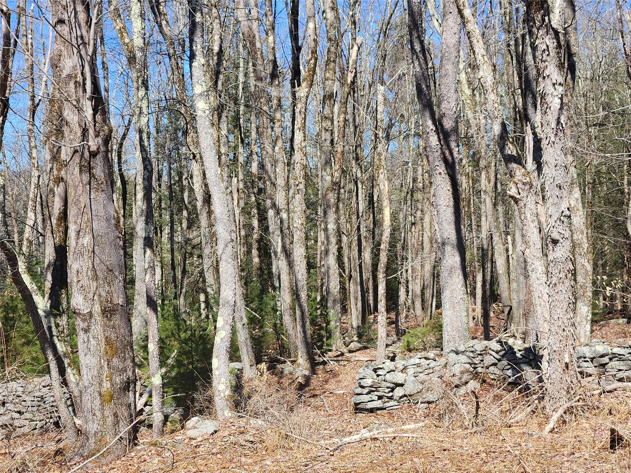 Single Family Dingle Daisy  Sullivan County, NY 12701, MLS-800759-22