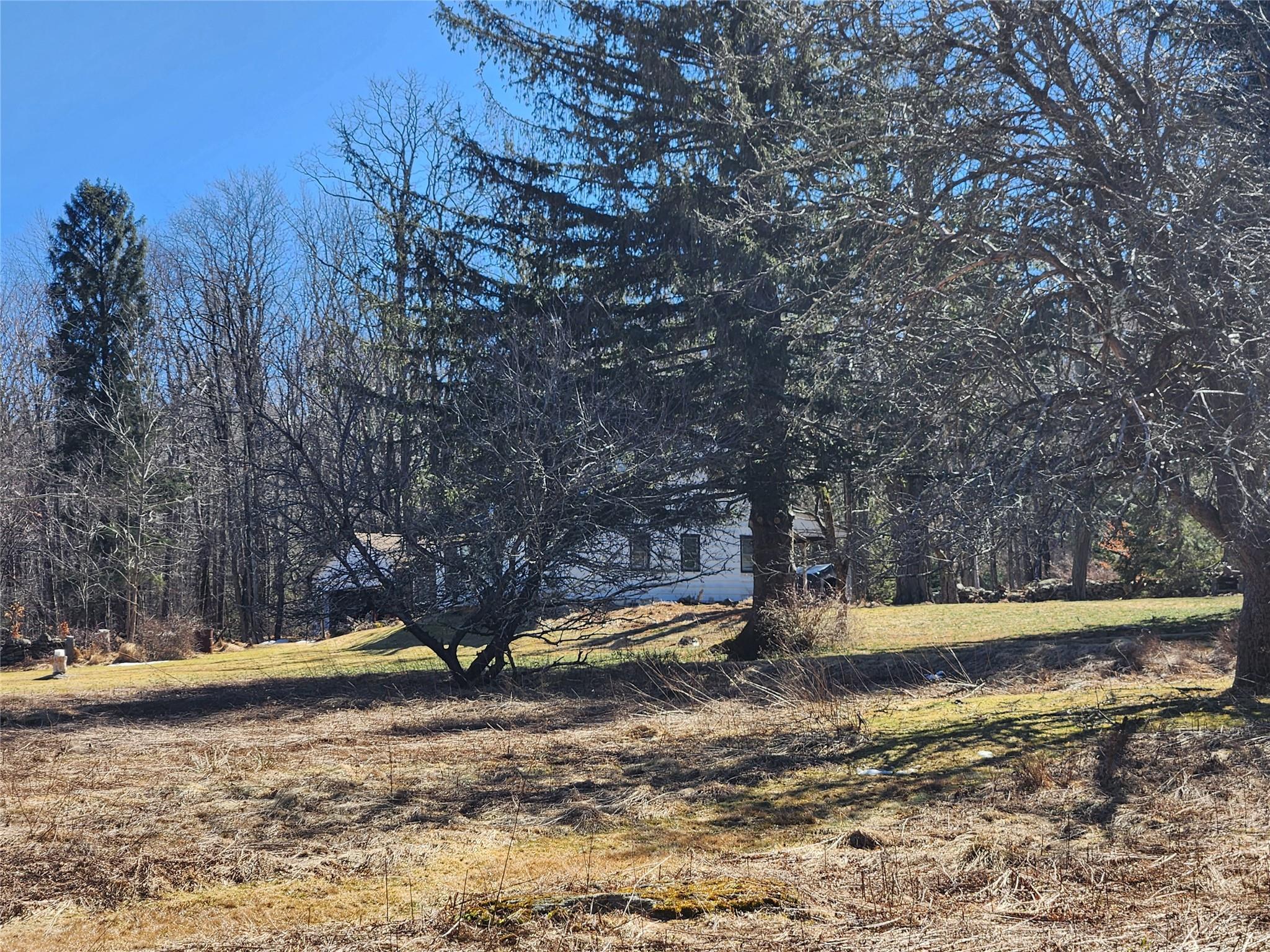 Single Family Dingle Daisy  Sullivan County, NY 12701, MLS-800759-23