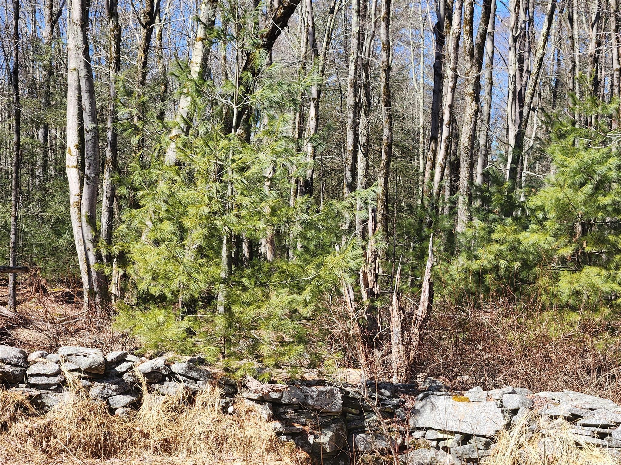 Single Family Dingle Daisy  Sullivan County, NY 12701, MLS-800759-24