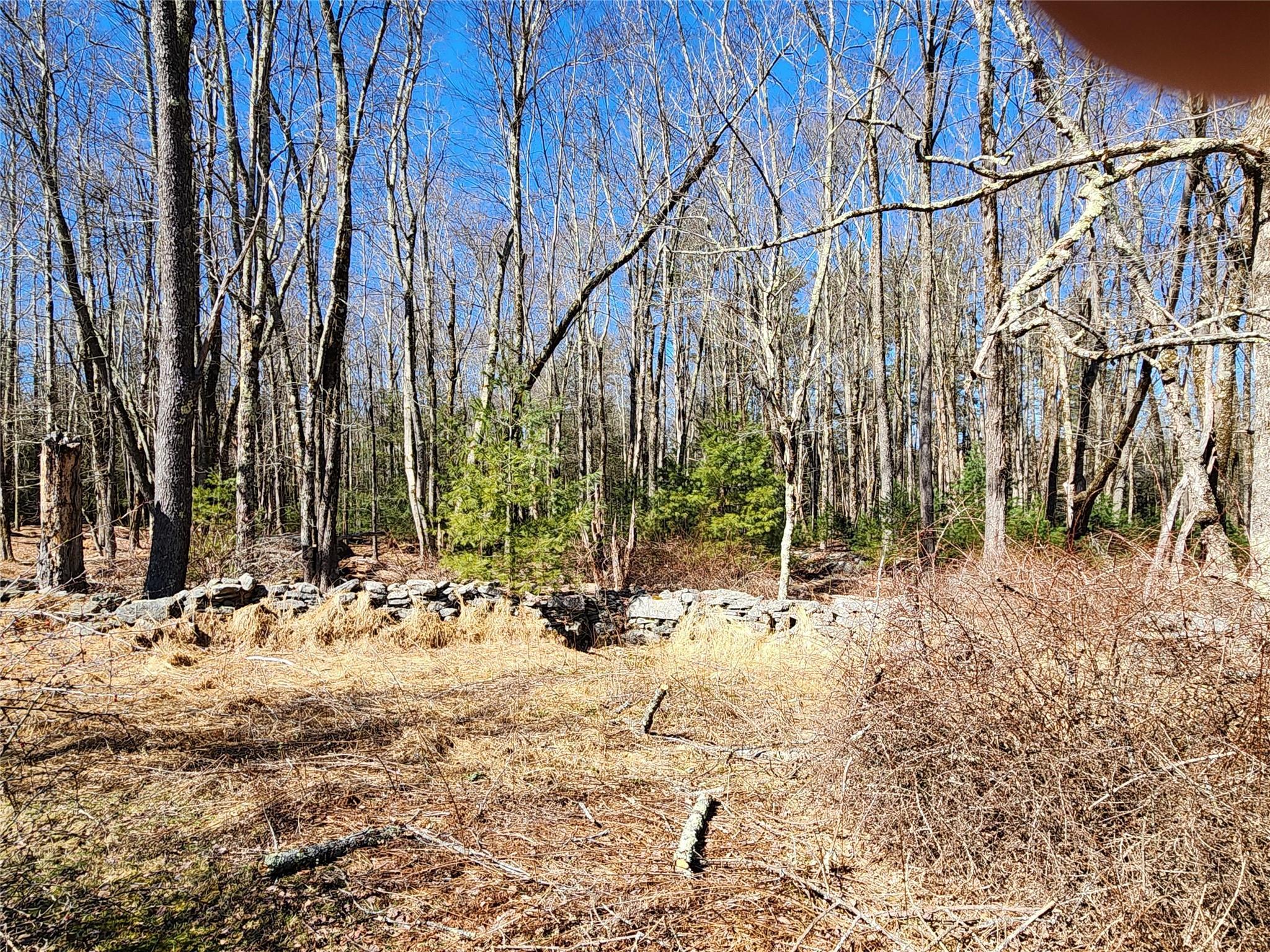 Single Family Dingle Daisy  Sullivan County, NY 12701, MLS-800759-25