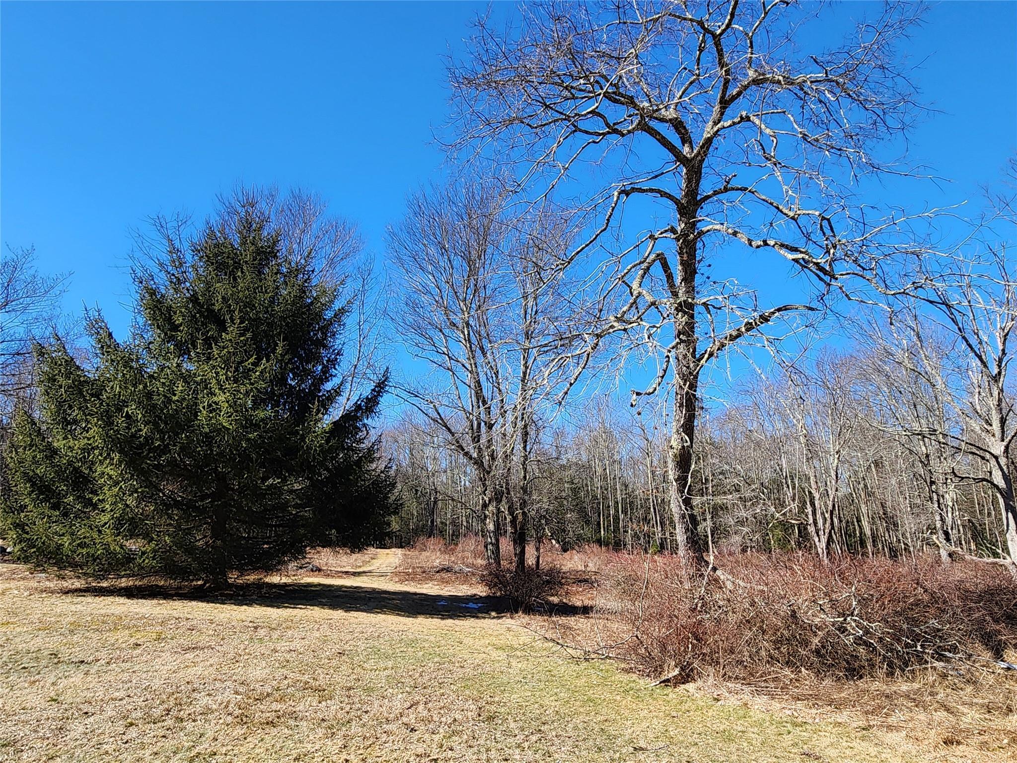 Single Family Dingle Daisy  Sullivan County, NY 12701, MLS-800759-27