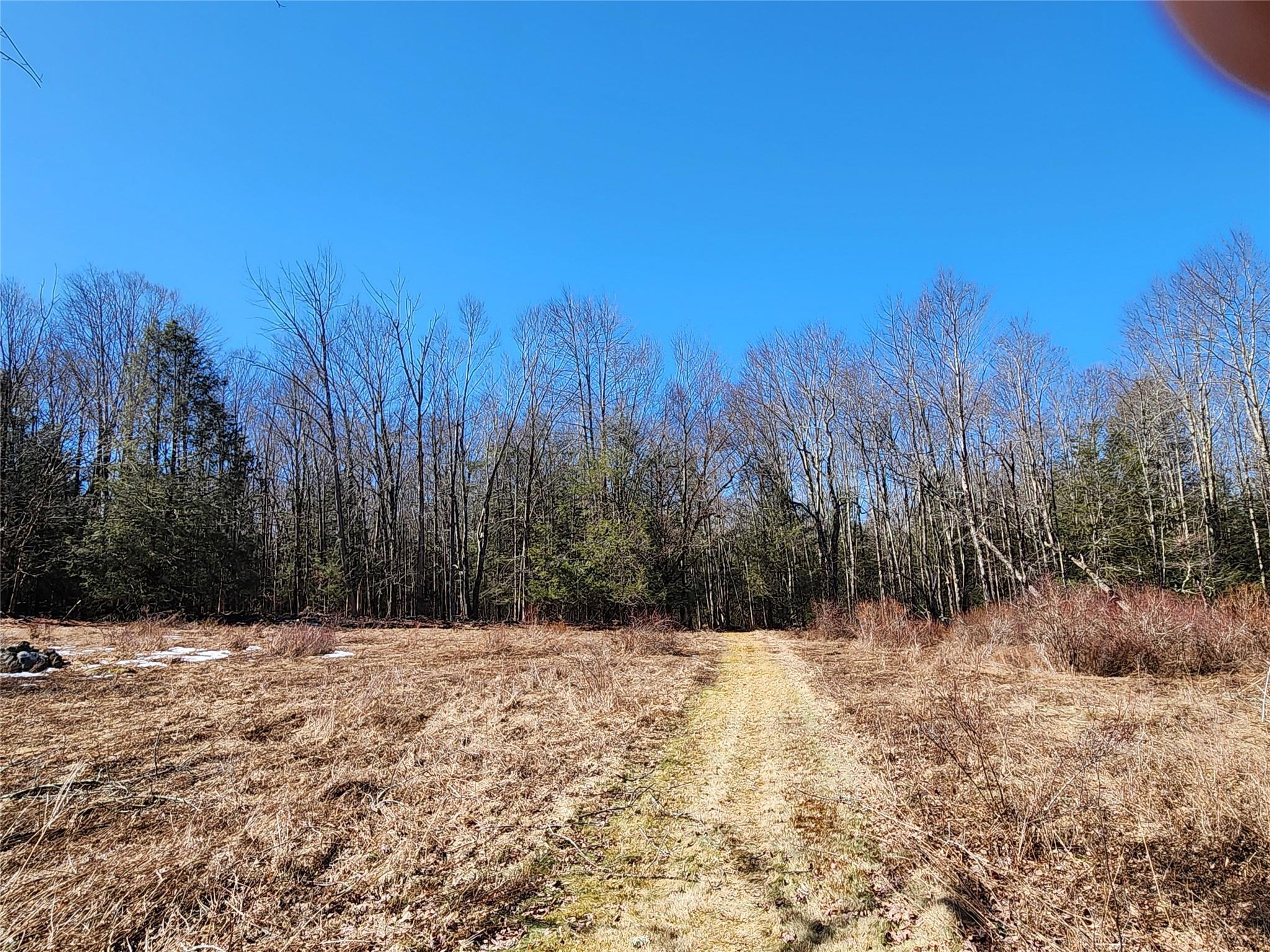 Single Family Dingle Daisy  Sullivan County, NY 12701, MLS-800759-28