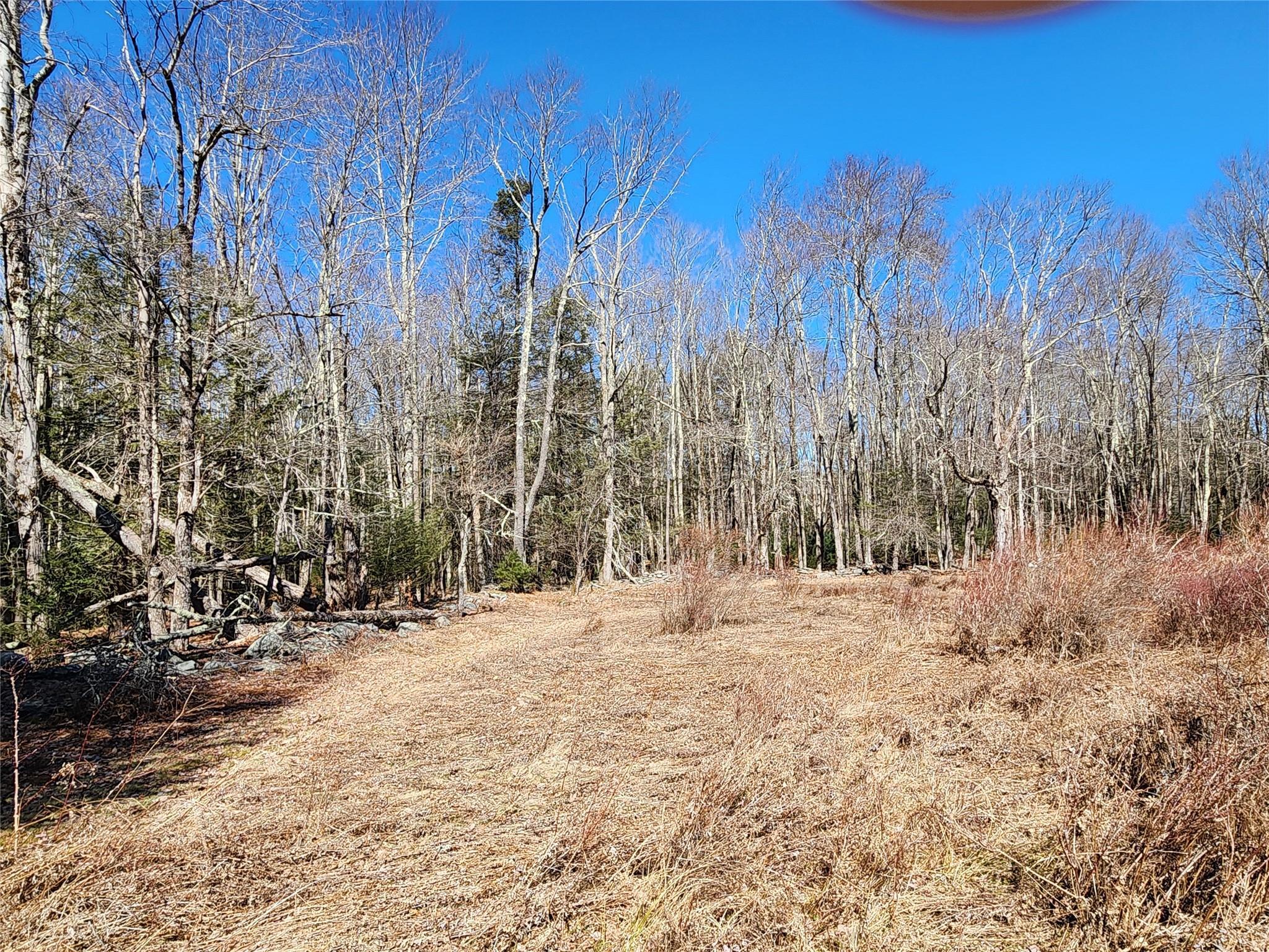 Single Family Dingle Daisy  Sullivan County, NY 12701, MLS-800759-29
