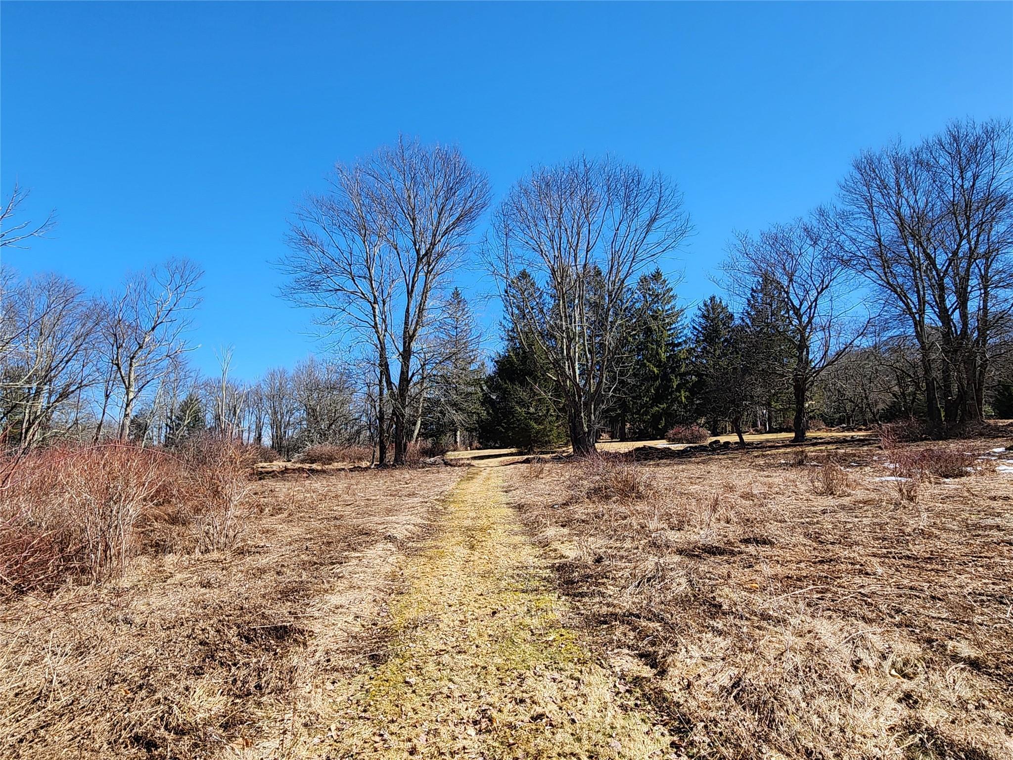 Single Family Dingle Daisy  Sullivan County, NY 12701, MLS-800759-30