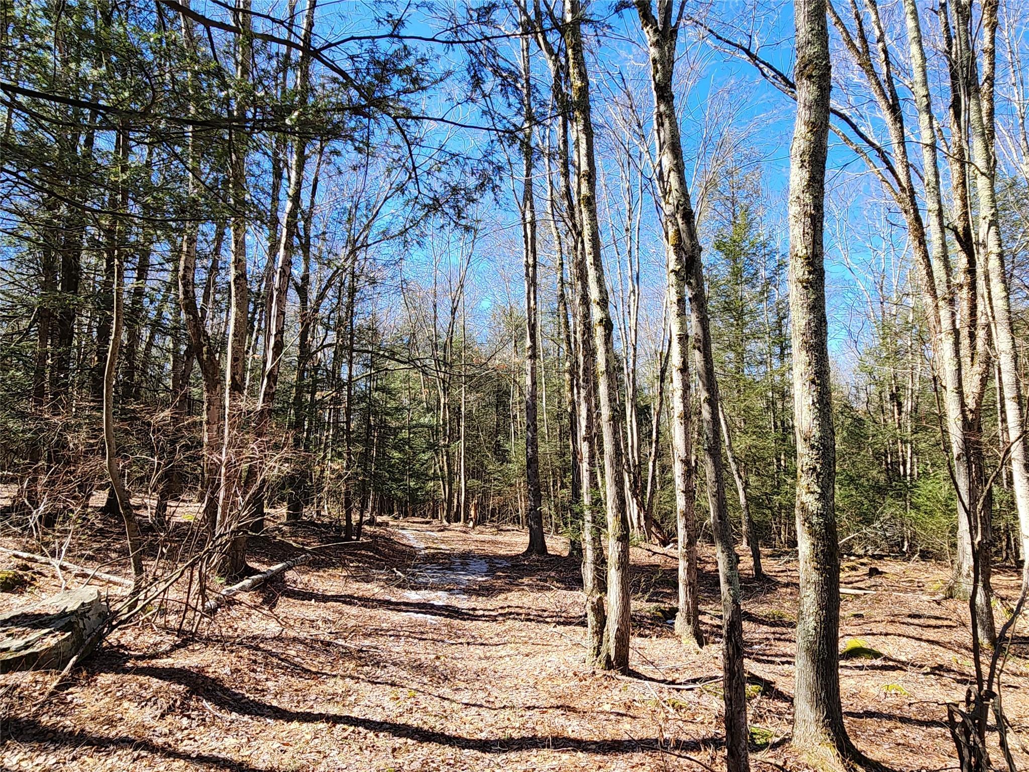 Single Family Dingle Daisy  Sullivan County, NY 12701, MLS-800759-31