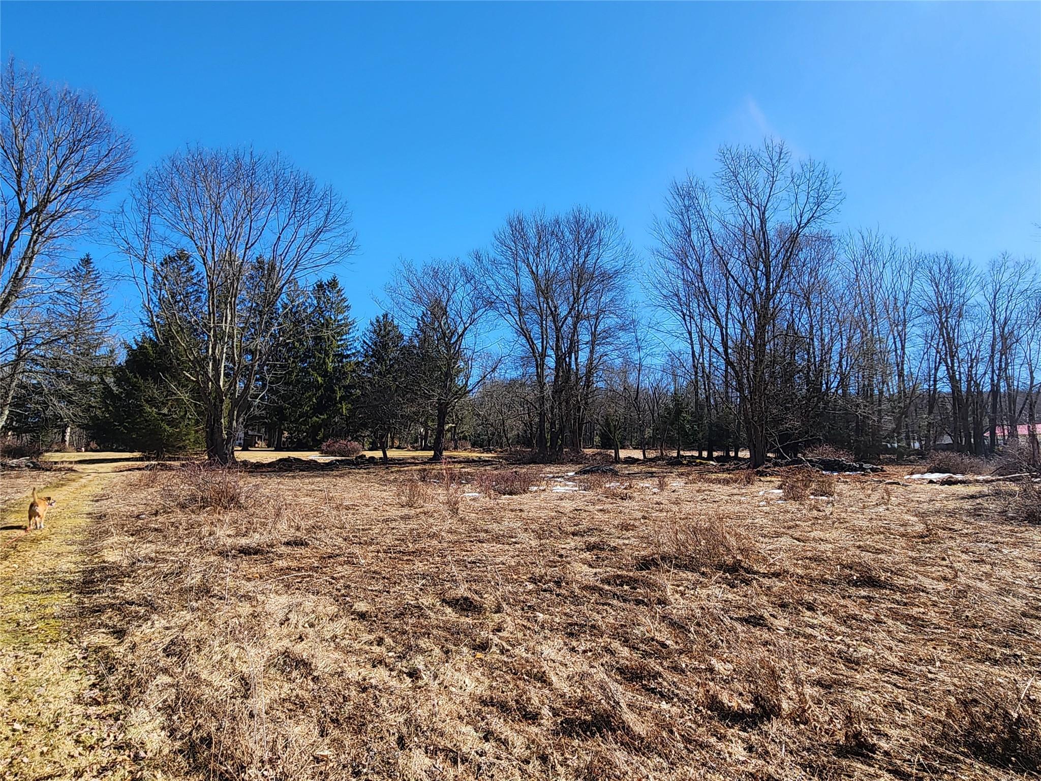 Single Family Dingle Daisy  Sullivan County, NY 12701, MLS-800759-32