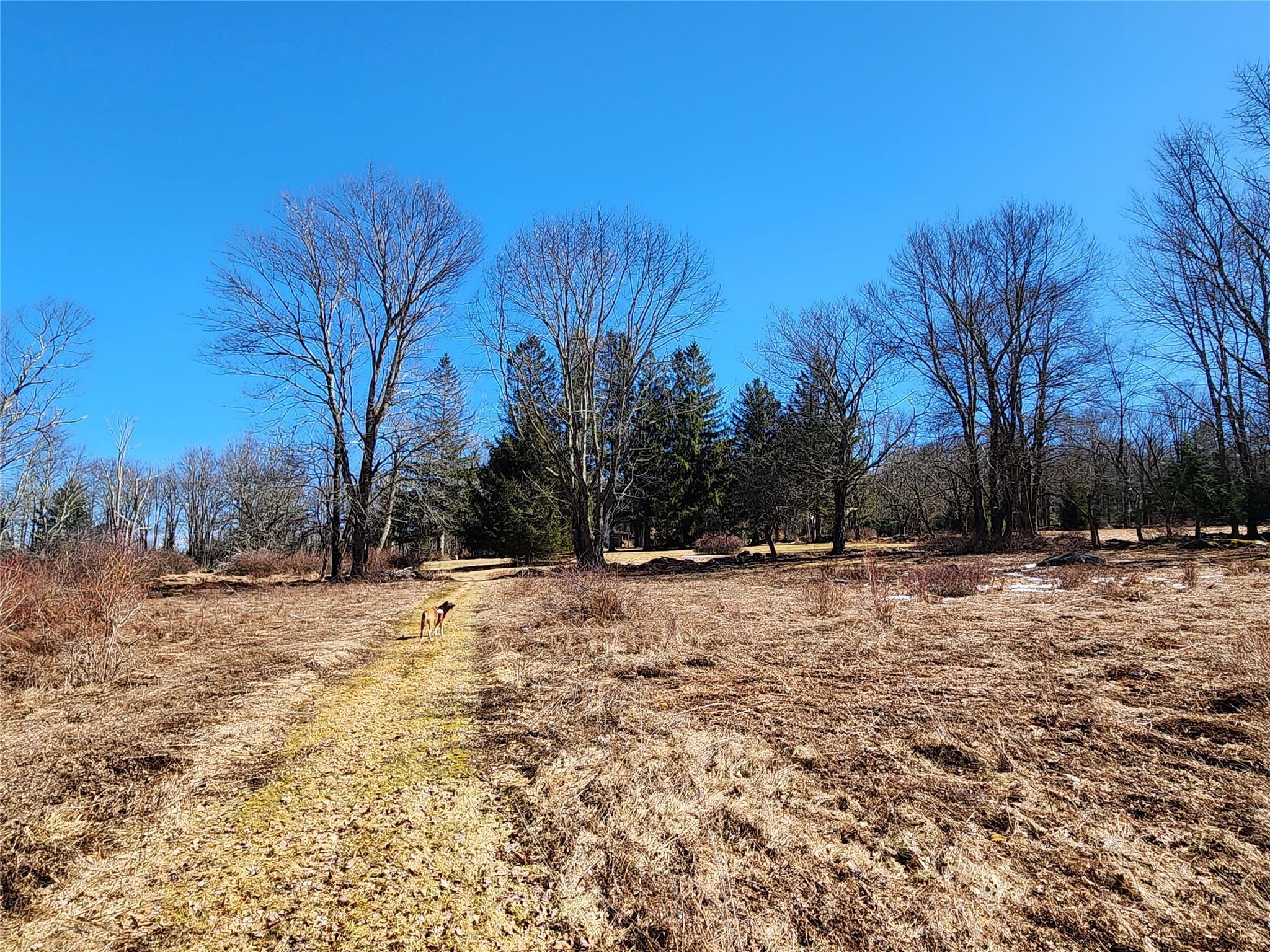 Single Family Dingle Daisy  Sullivan County, NY 12701, MLS-800759-33
