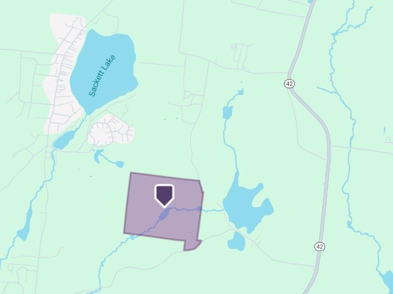 Single Family Dingle Daisy  Sullivan County, NY 12701, MLS-800759-4