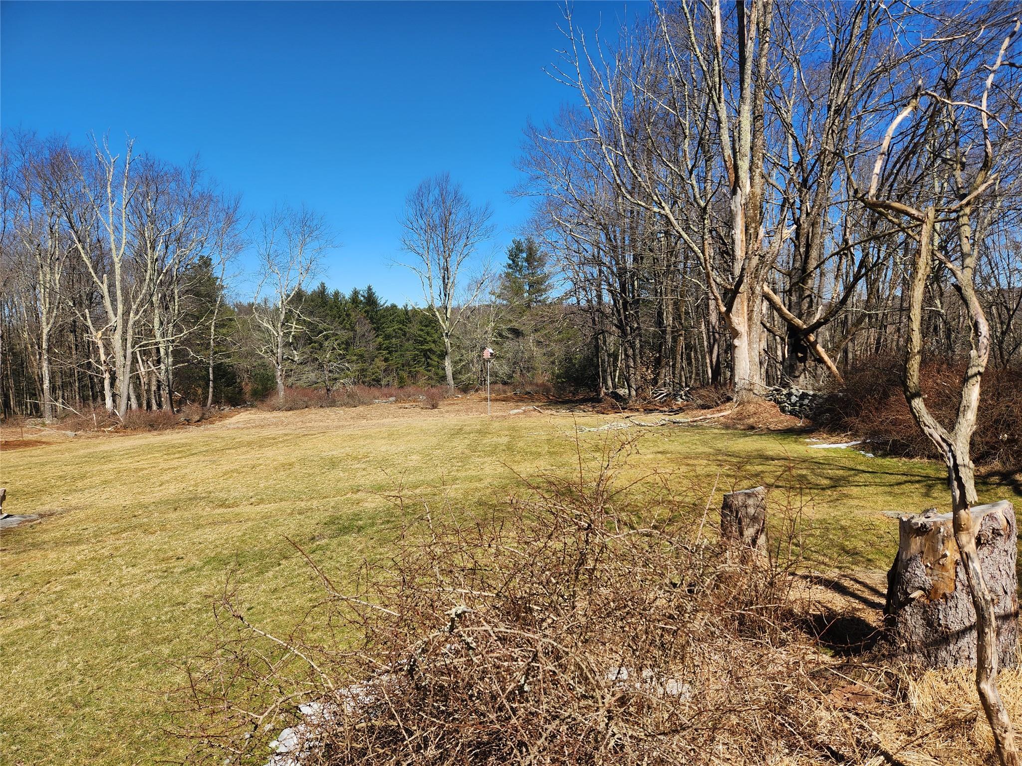 Single Family Dingle Daisy  Sullivan County, NY 12701, MLS-800759-5