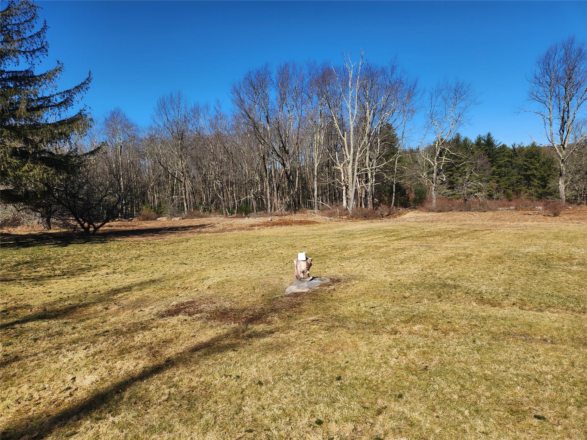 Single Family Dingle Daisy  Sullivan County, NY 12701, MLS-800759-6