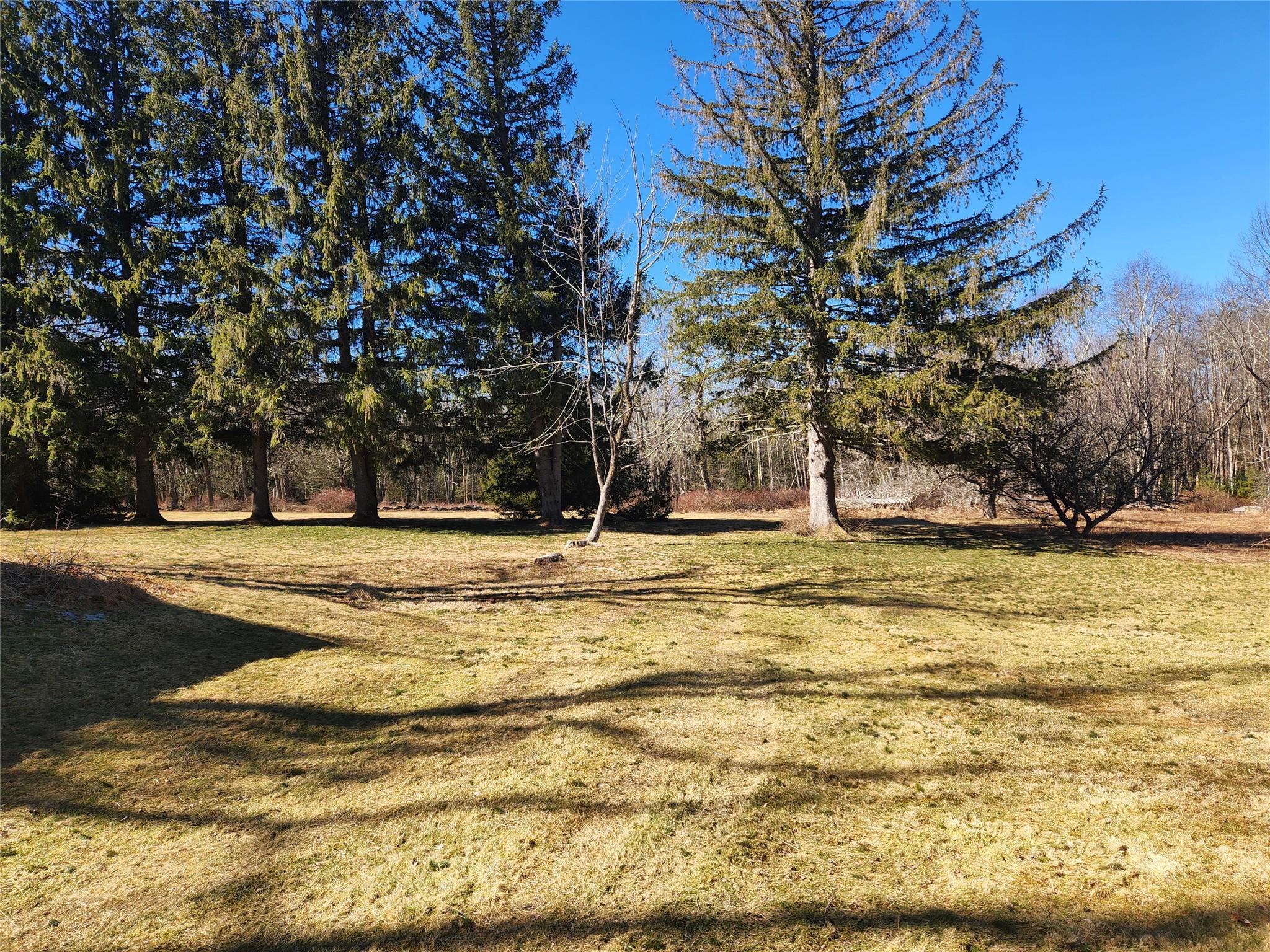 Single Family Dingle Daisy  Sullivan County, NY 12701, MLS-800759-7