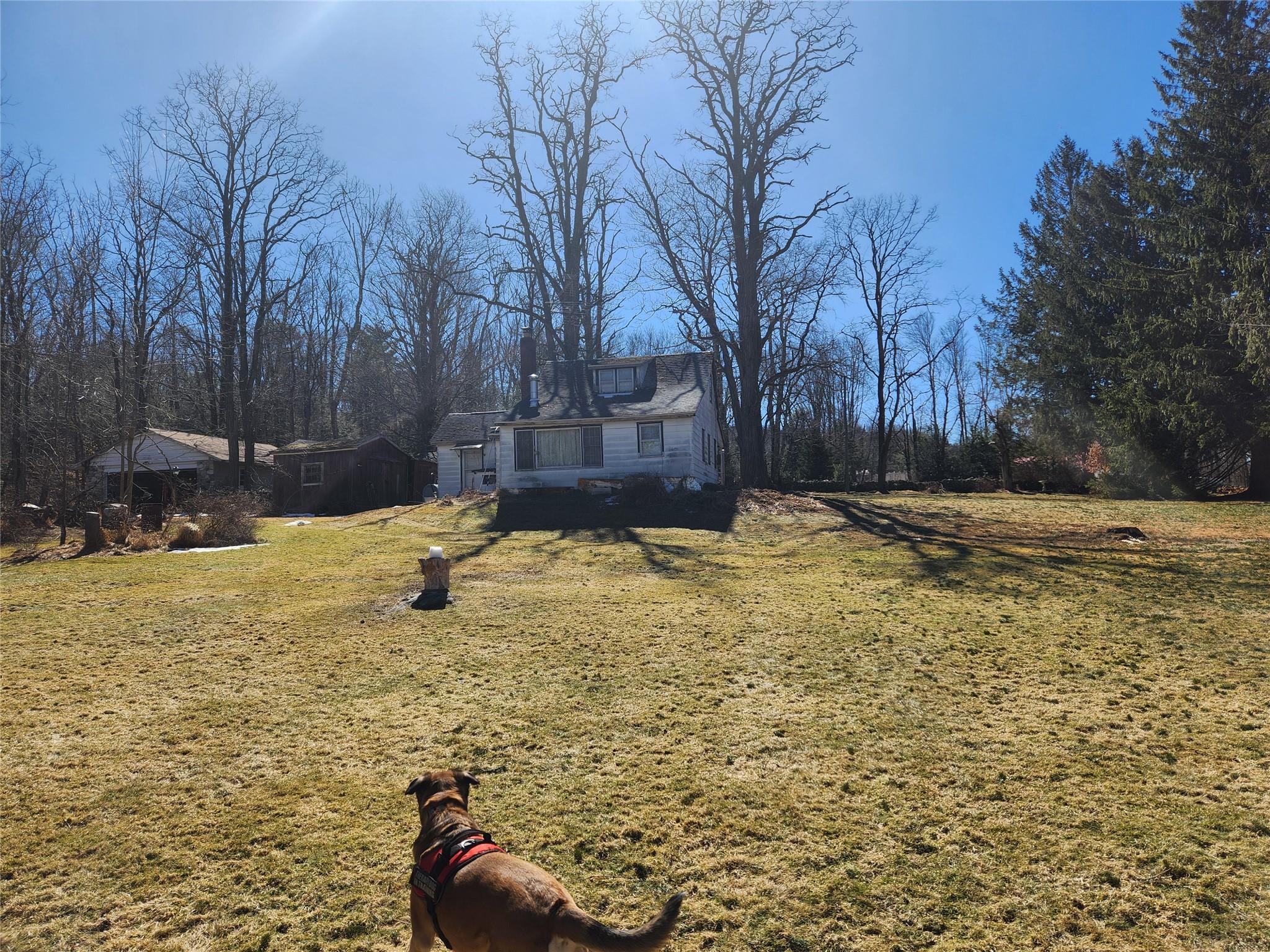 Single Family Dingle Daisy  Sullivan County, NY 12701, MLS-800759-9
