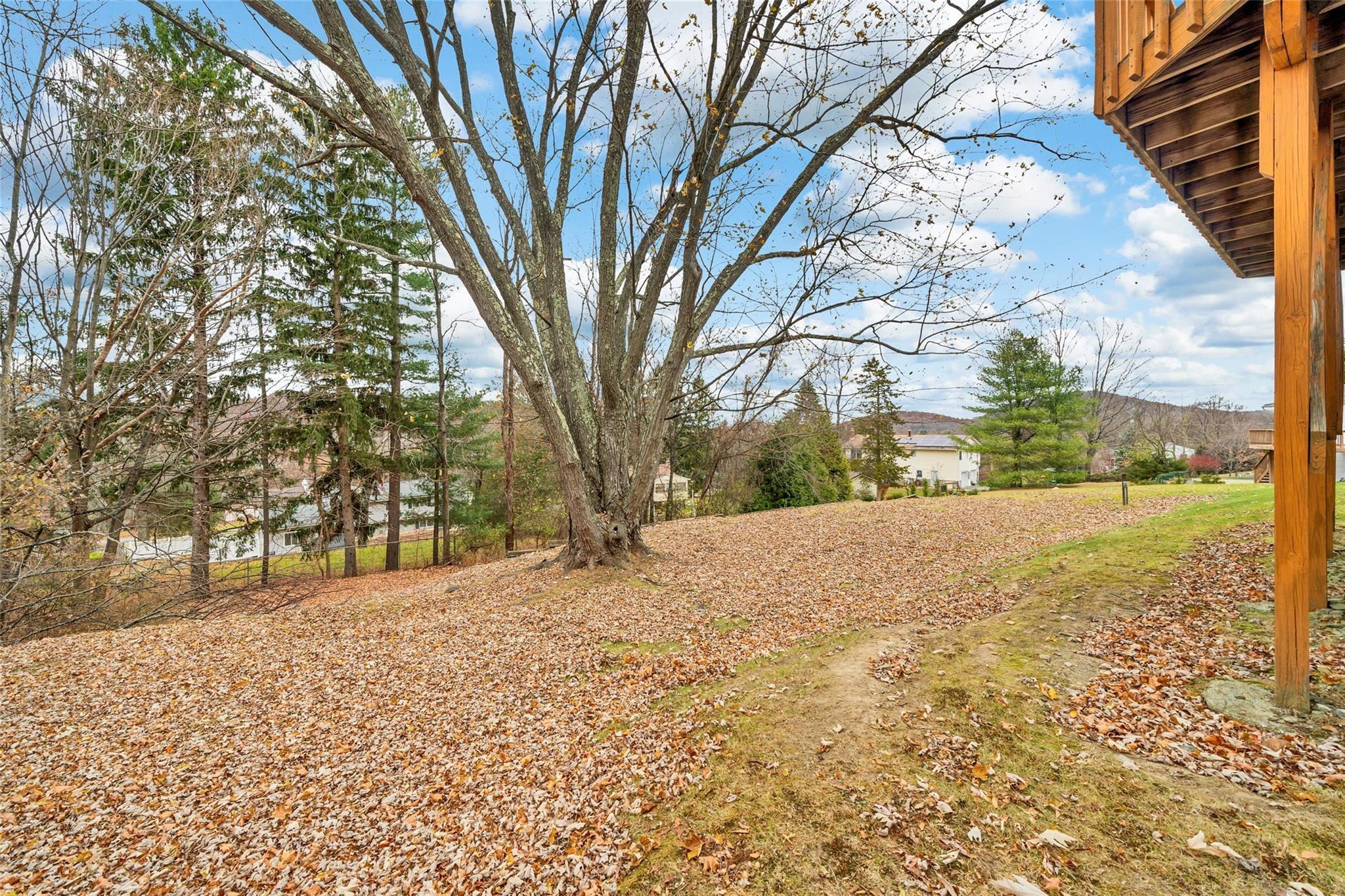 Single Family Pine Hill  Orange County, NY 10950, MLS-800949-32