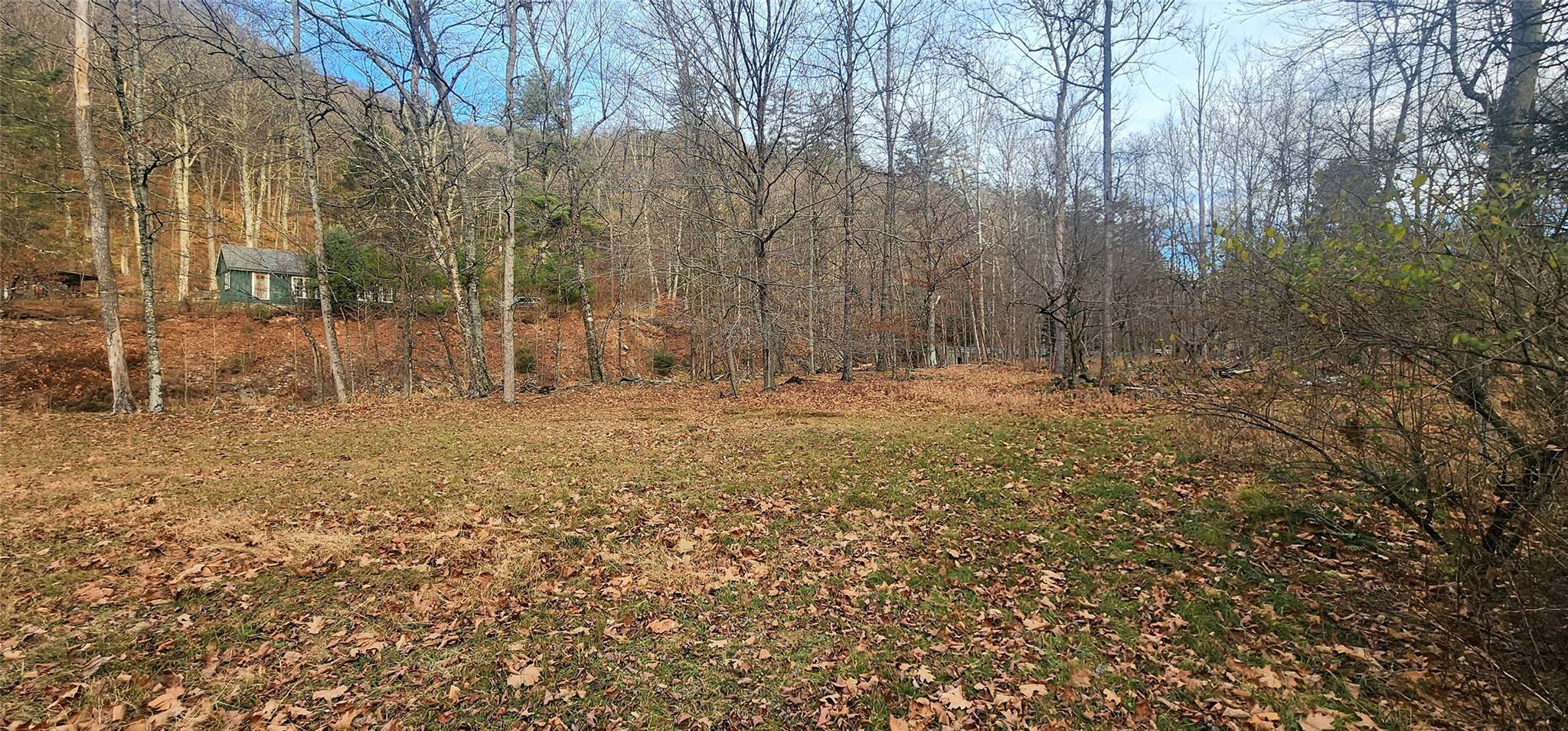 Single Family Peekamoose  Ulster County, NY 12740, MLS-801189-16