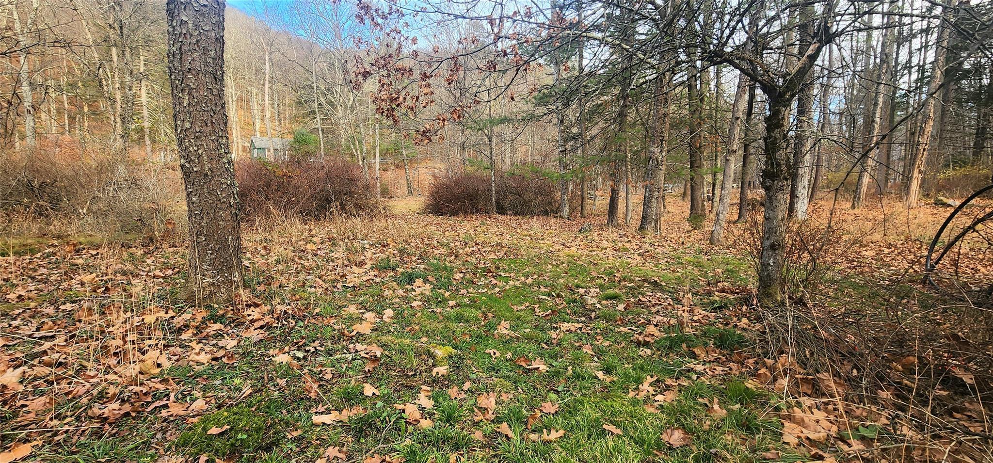 Single Family Peekamoose  Ulster County, NY 12740, MLS-801189-17