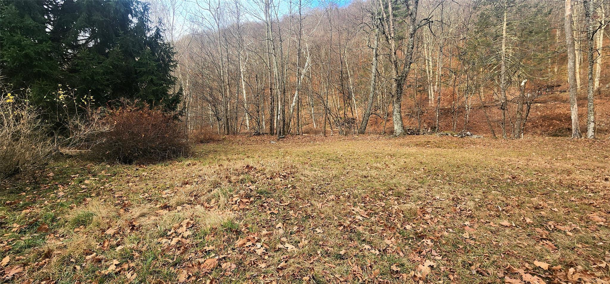 Single Family Peekamoose  Ulster County, NY 12740, MLS-801189-18