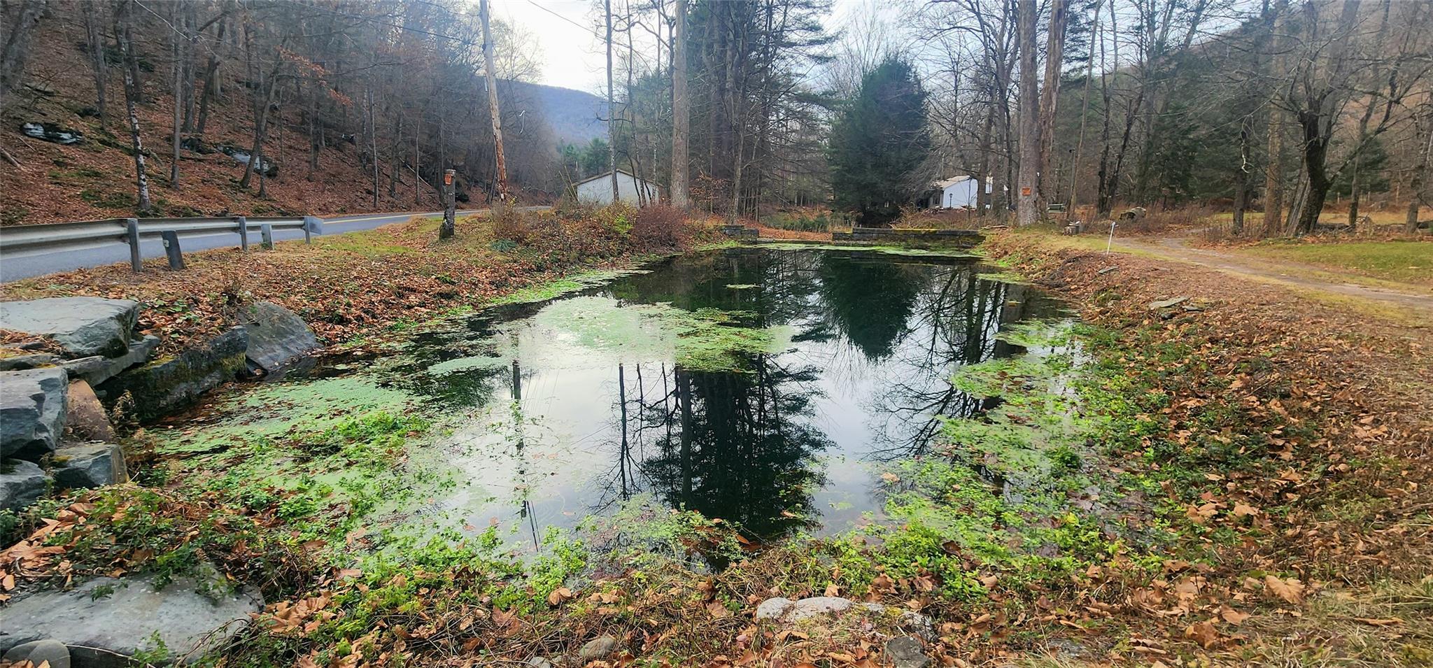 Single Family Peekamoose  Ulster County, NY 12740, MLS-801189-2